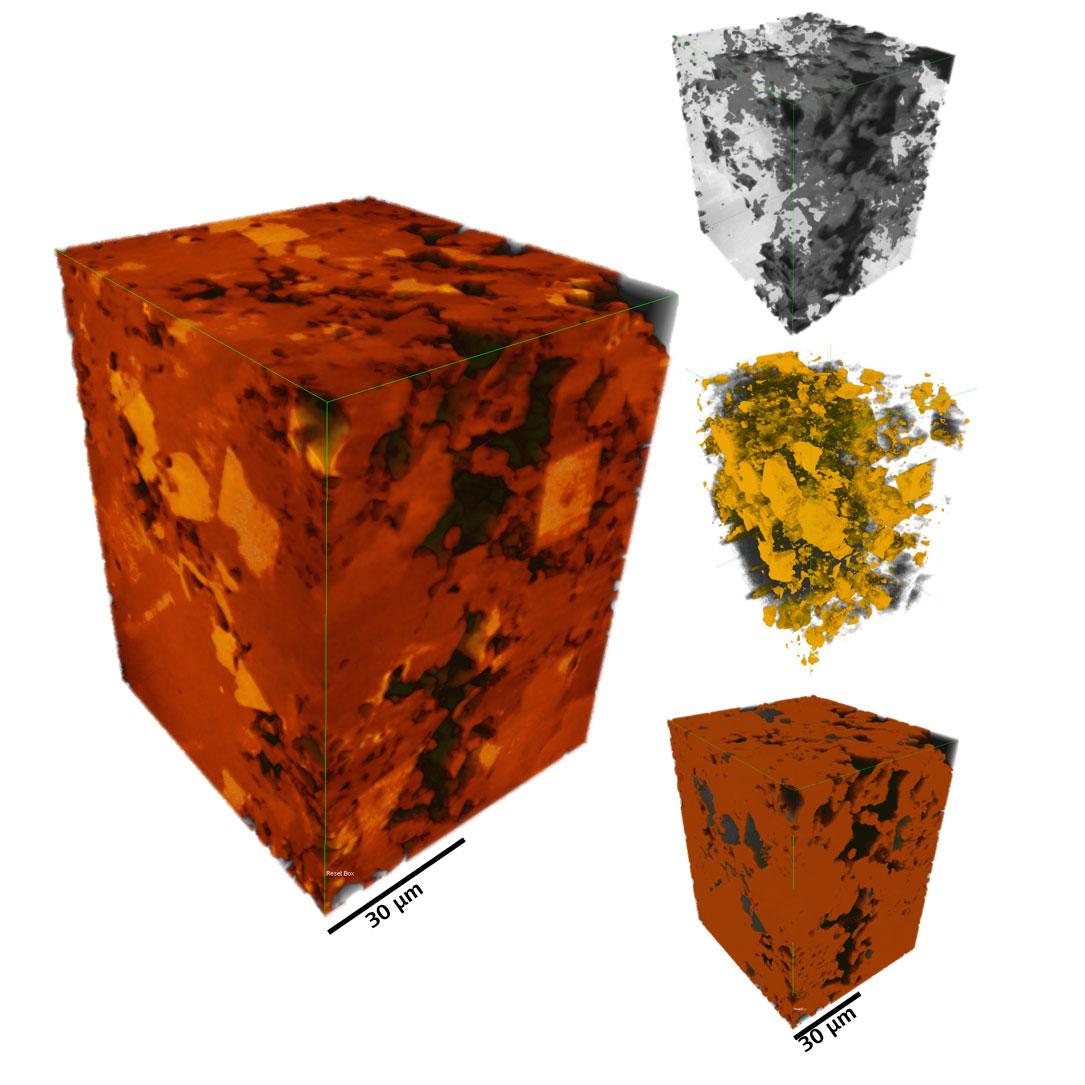 页岩岩石的三维图像分割，显示了不同的成分相。使用Xradia 810 Ultra成像。
