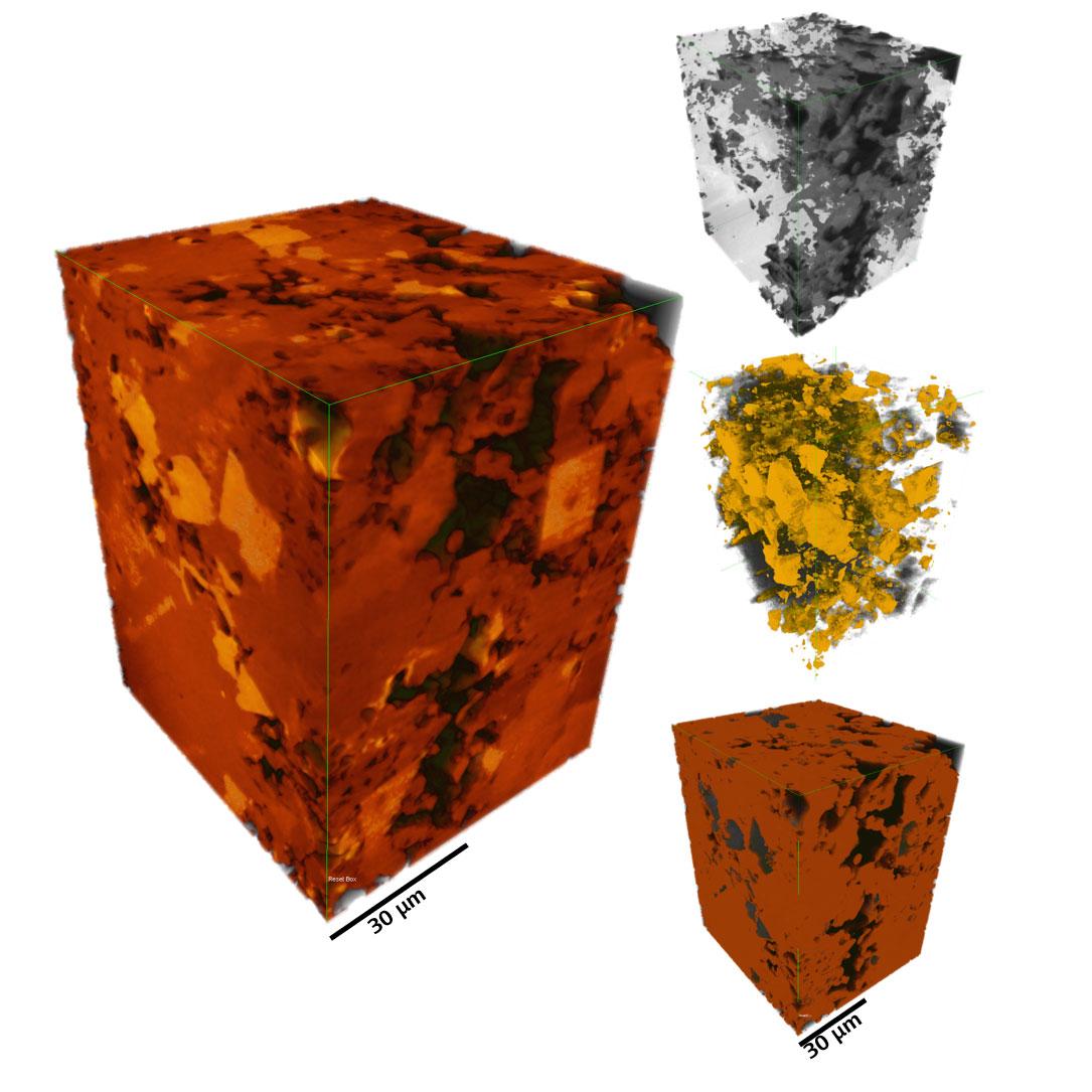 Segmentation of shale rock into component phases. Imaged with Xradia 810 Ultra.