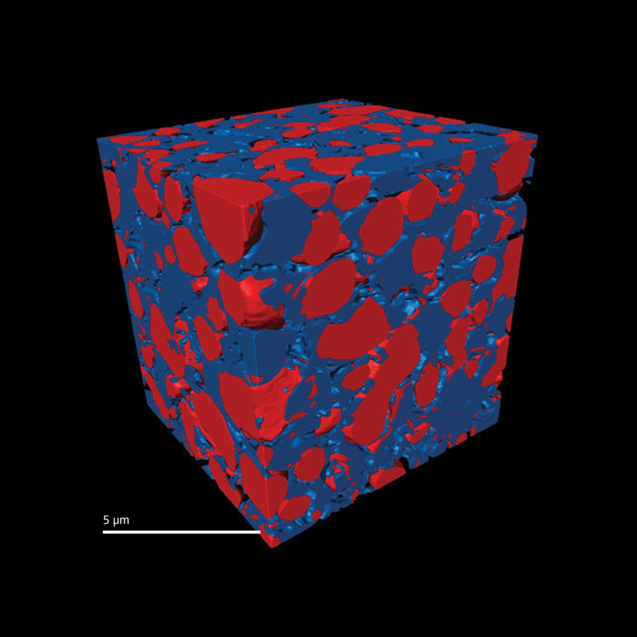 Multi-phase imaging of a solid oxide fuel cell (SOFC) electrode; imaged with Xradia 800 Synchrotron.