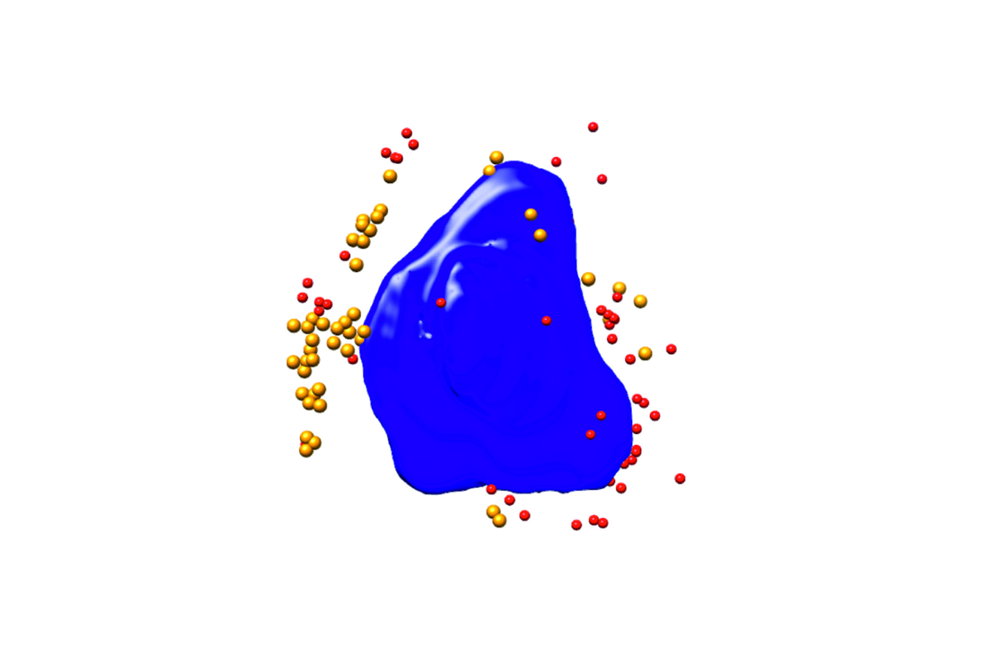 Segmentierte 3D-Aufnahe einer virusinfizierten Ptk2-Zelle. Blau: Kern, rot/orange: Viruspartikel; Breite der Zelle ca. 10 µm; Xradia 825 Synchrotron. Bild mit freundlicher Genehmigung von F.J. Chichon, CNB-CSIC und ALBA Synchrotron (Spanien). 