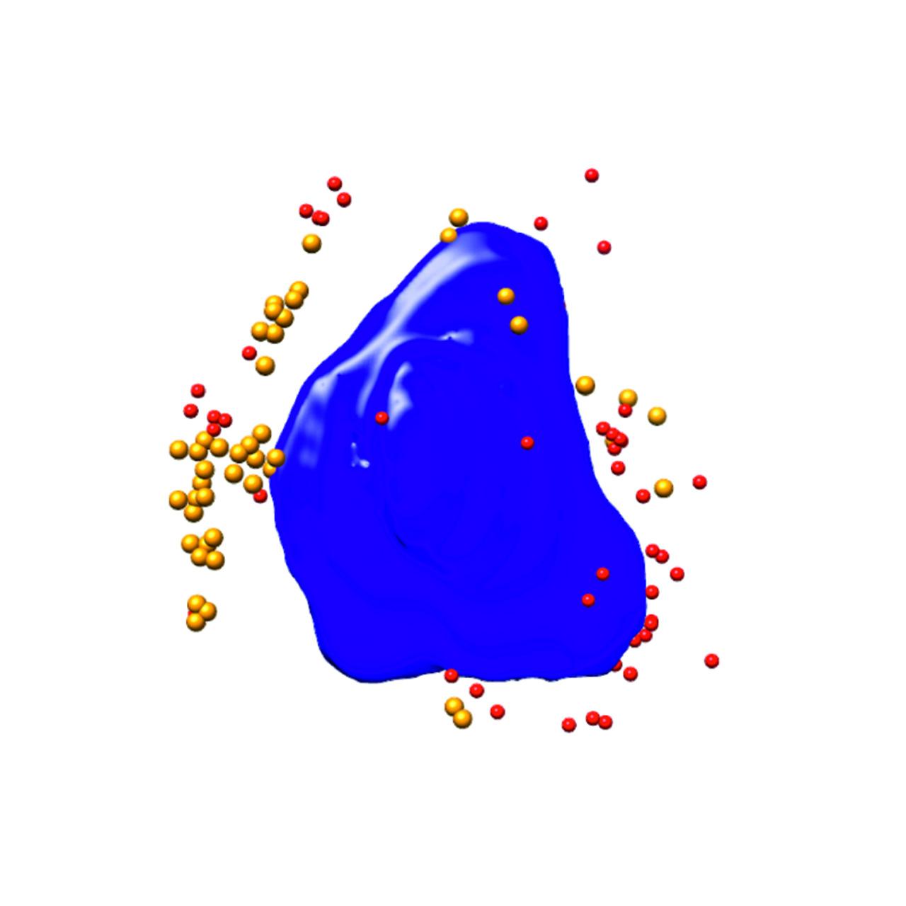 ウイルス感染Ptk2細胞のセグメンテーションされた3Dレンダリング。青：核、赤／オレンジ：ウイルス粒子、細胞幅：10 µm、Xradia 825 Synchrotron。画像ご提供：F.J. Chichon, CNB-CSIC and ALBA Synchrotron (Spain)
