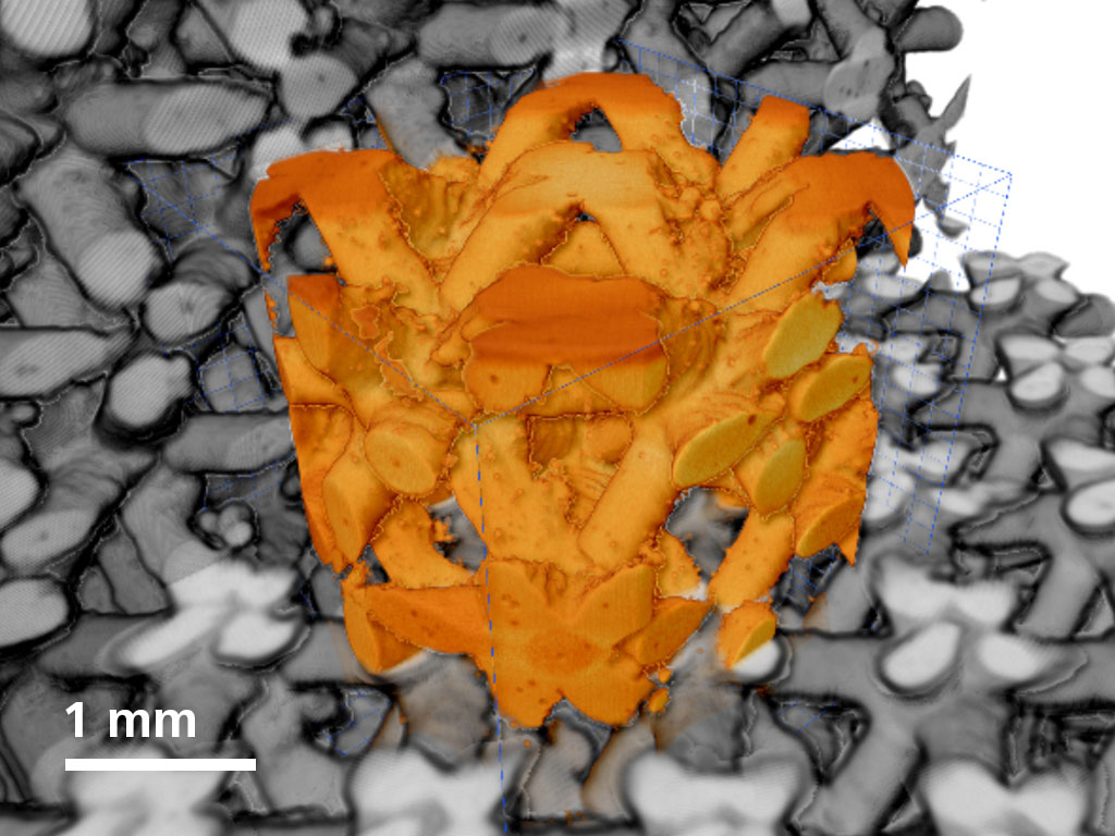 Estructura reticular fabricada con aditivos. Muestra cortesía de Kavan Hazeli, Ingeniería mecánica y aeroespacial, Universidad de Alabama, Huntsville