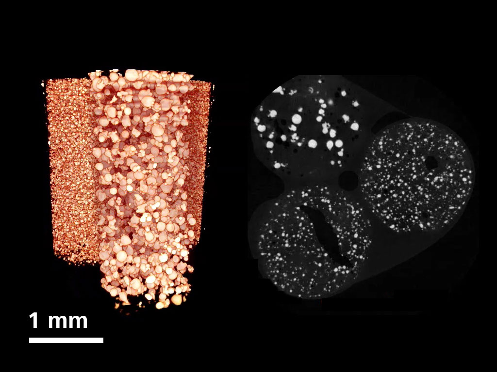 Bildgebung unterschiedlicher A205-AM-Pulverqualitäten bei einer Voxelauflösung von 3,9 µm. 