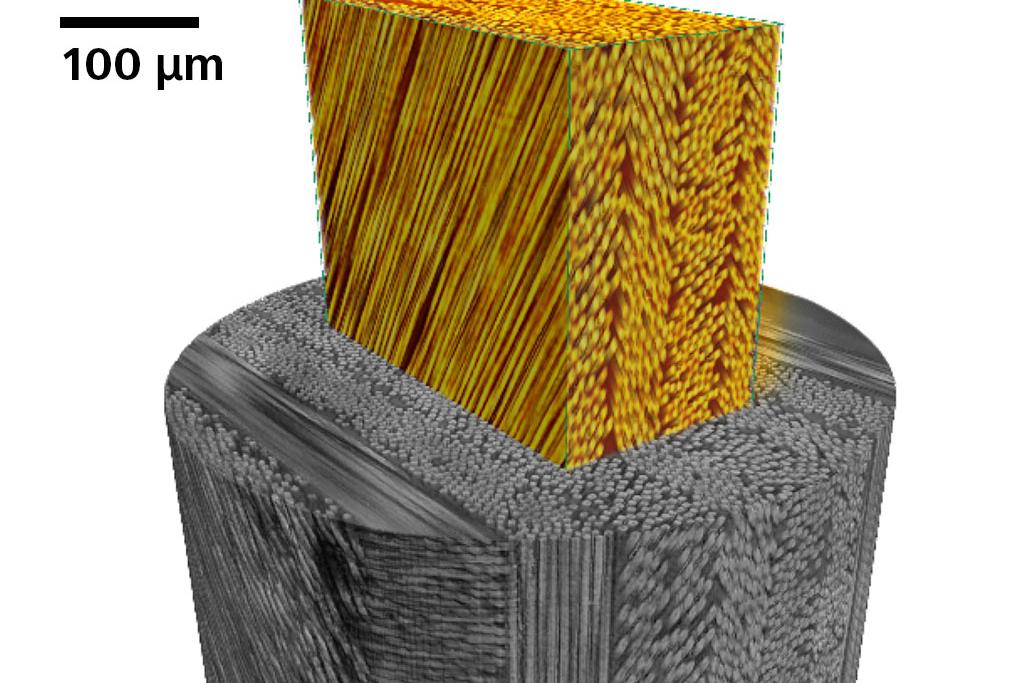 Composite polymère renforcé de fibres de carbone.