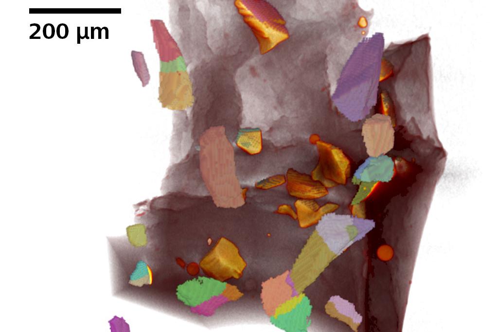 在分离的橄榄石上用LabDCT Pro识别单个亚微晶。