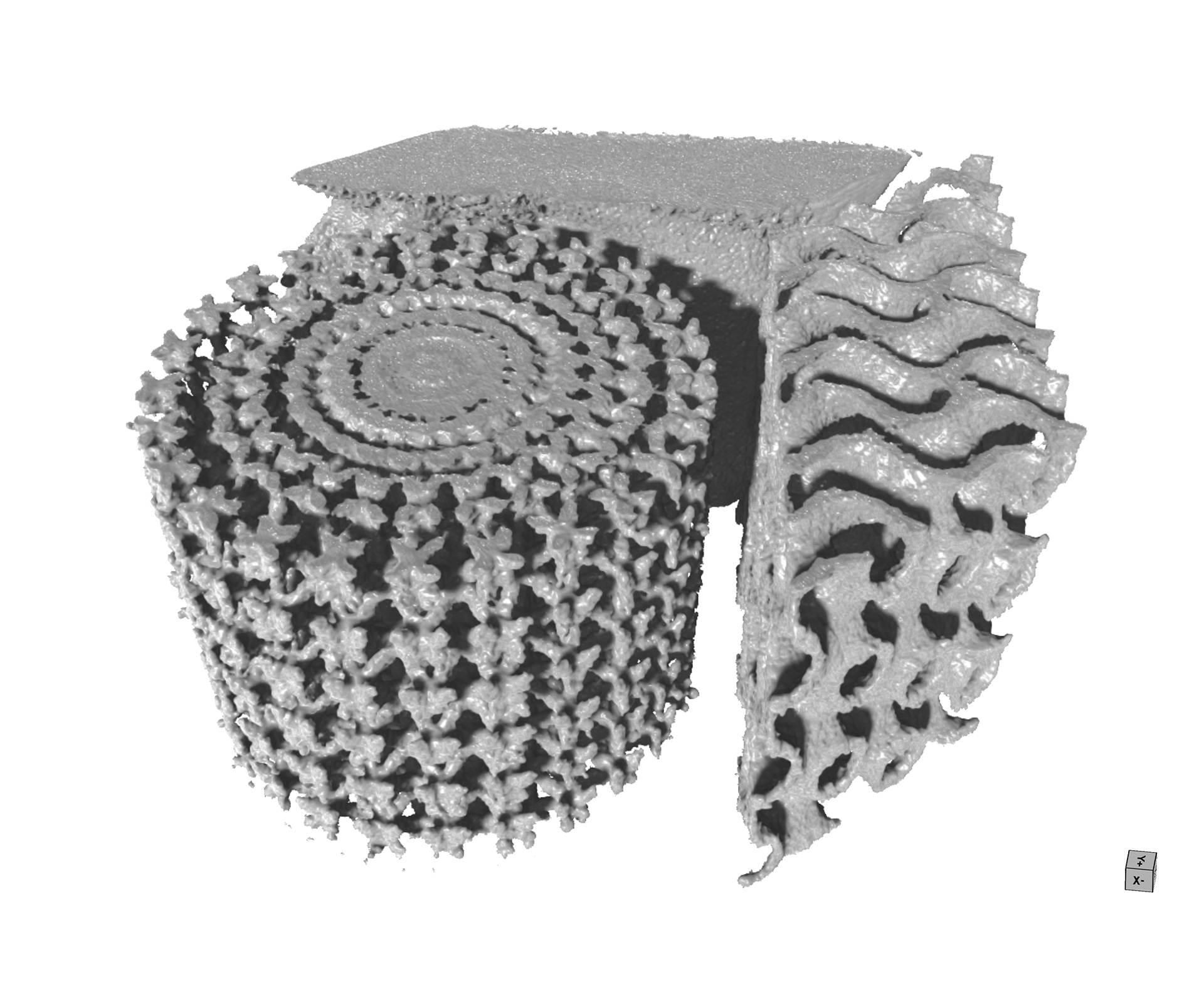 Display lattice metal additive manufacturing manifold.