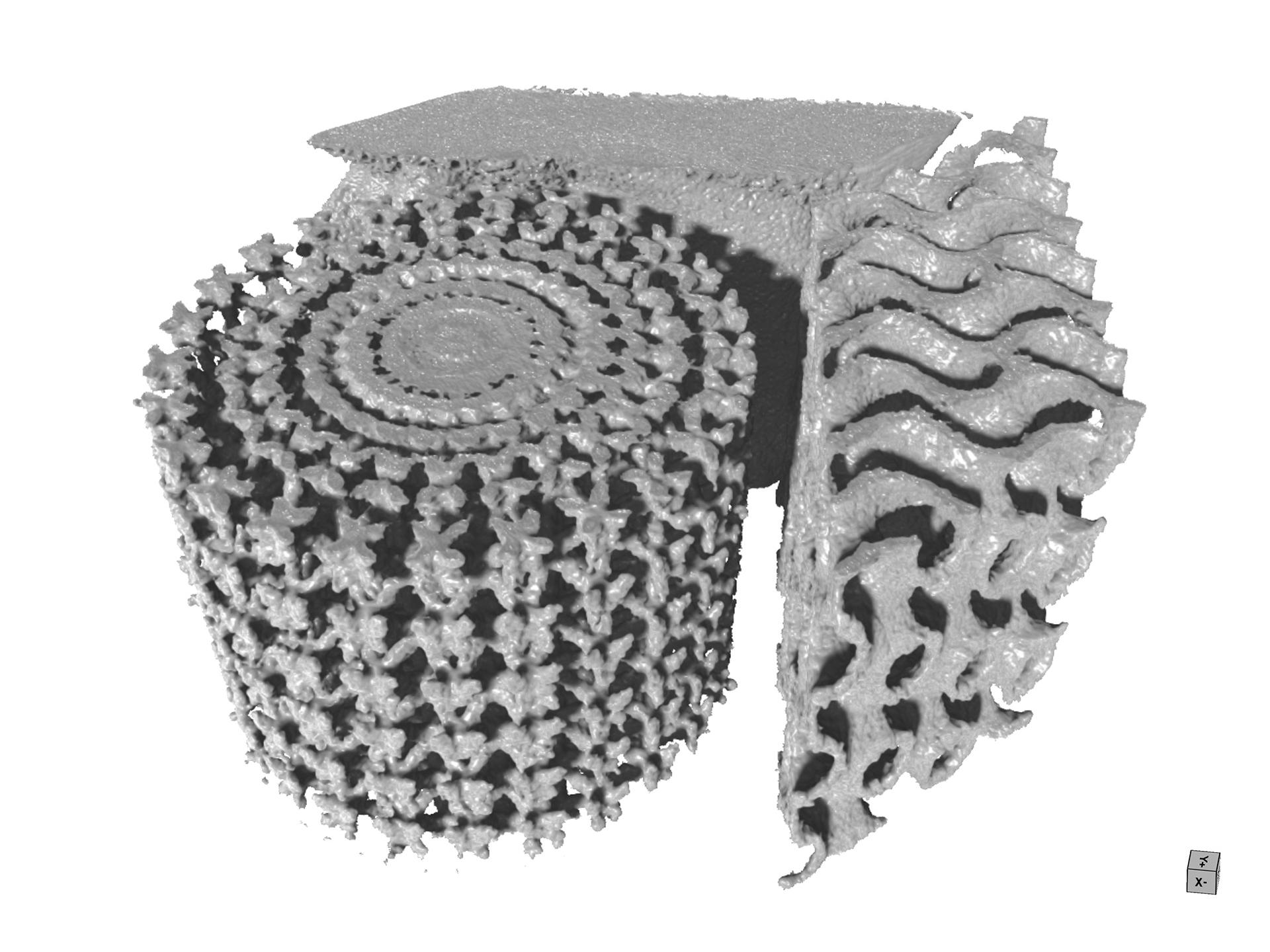 Display lattice metal additive manufacturing manifold.