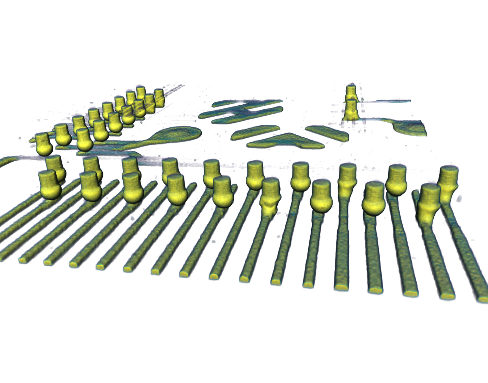 3D visualization at 1 μm voxel resolution of the defective Cu pillar solder pins in a fingerprint sensor device.