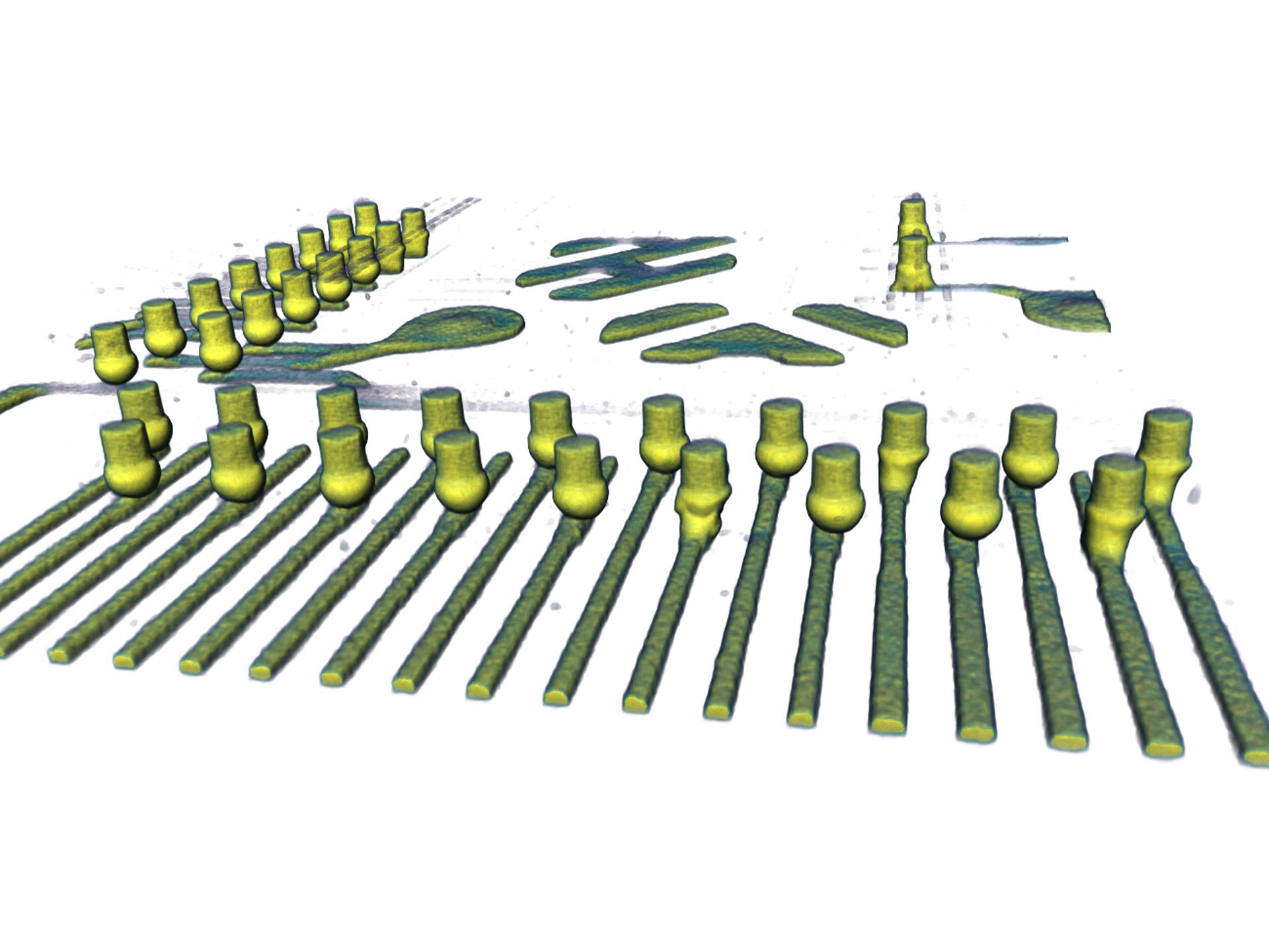 3D visualization at 1 μm voxel resolution of the defective Cu pillar solder pins in a fingerprint sensor device.