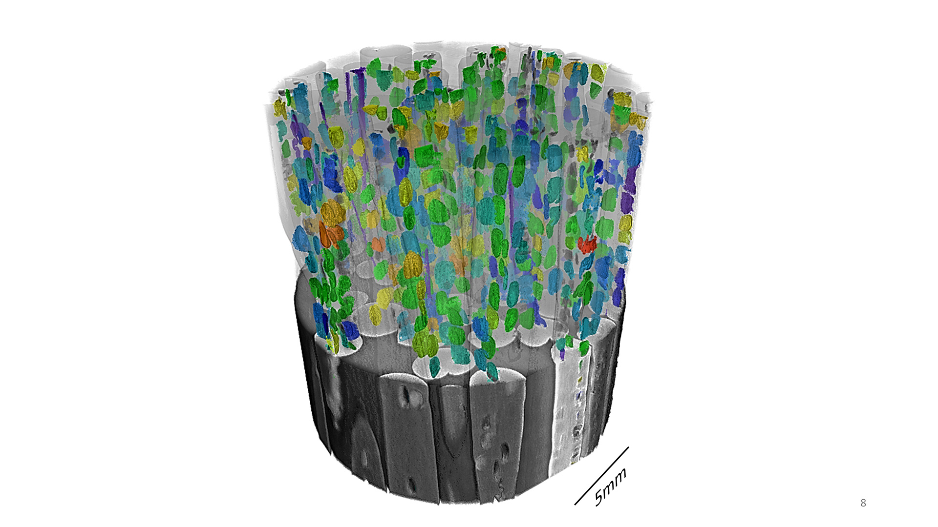 The 3D rendering shows a high-resolution 3D dataset processed using ZEISS PhaseEvolve to enhance the microvoids in individual fibers. Color represents void volume.