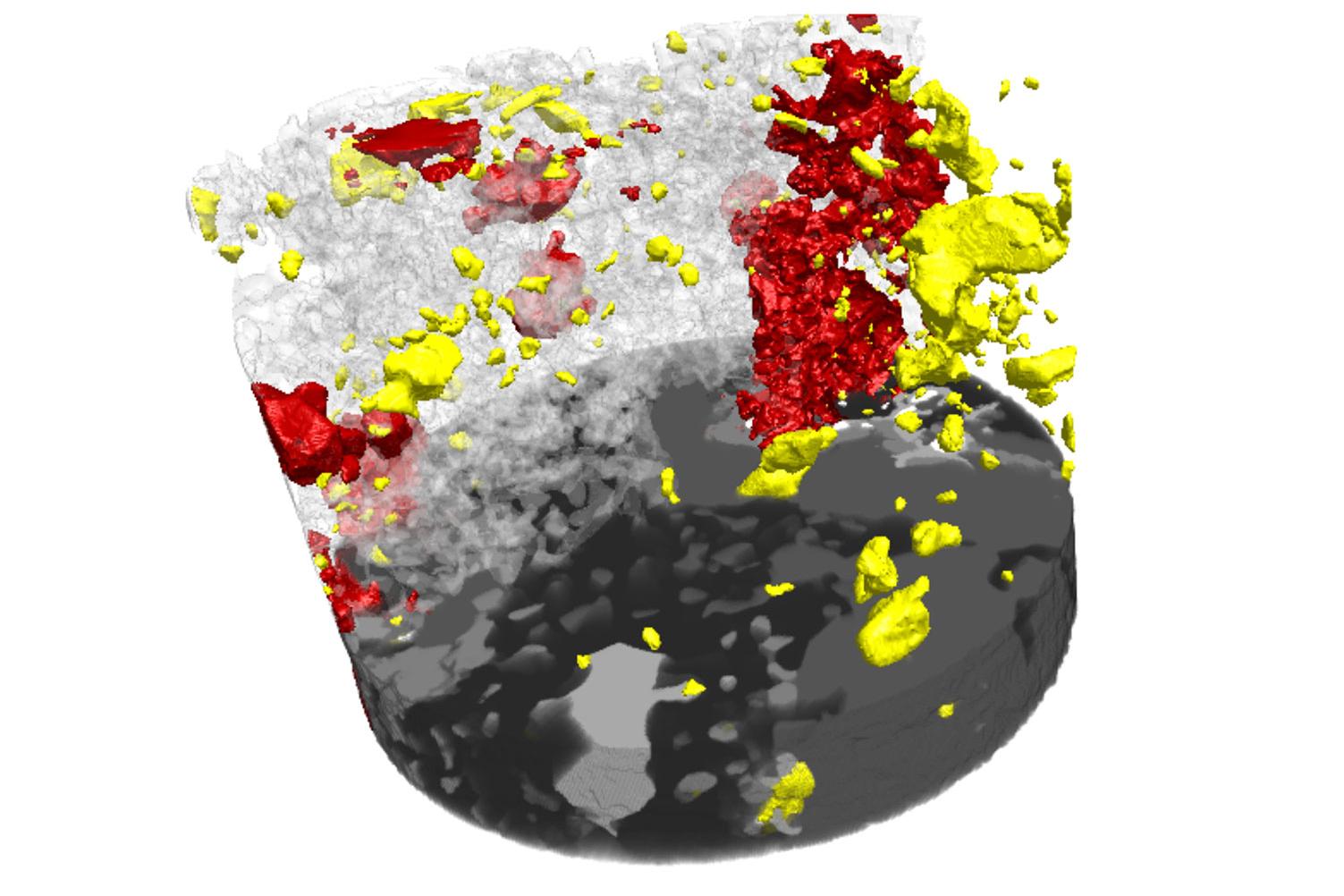 Metagabbro-Probe der Granulitfazies aus dem Lewisian, die mit der Software Mineralogic 3D analysiert wurde: quantitative Analyse von Mineralogie, Korngröße, -form und -verteilungen, Gefüge der mineralischen Materialien, Einschlussgefüge und vielem mehr vor der zerstörenden Probenpräparation.