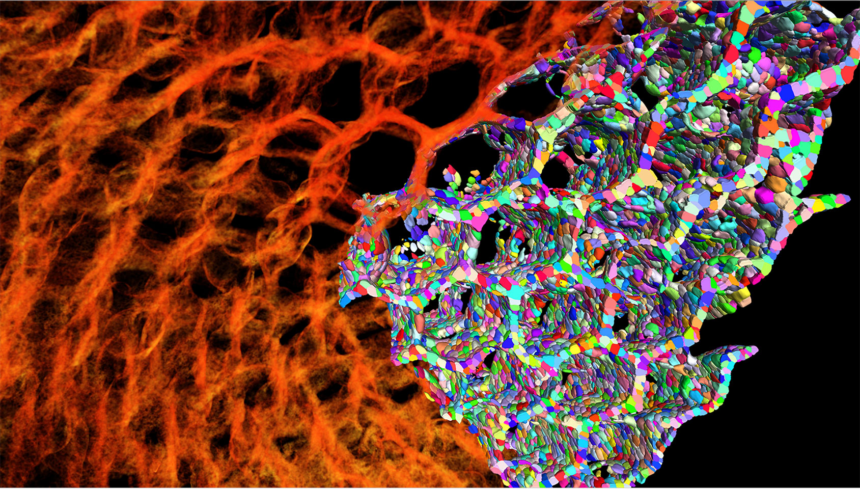 Twisted iron honeycomb prepared by hydrogel infusion additive manufacturing (HIAM). 
