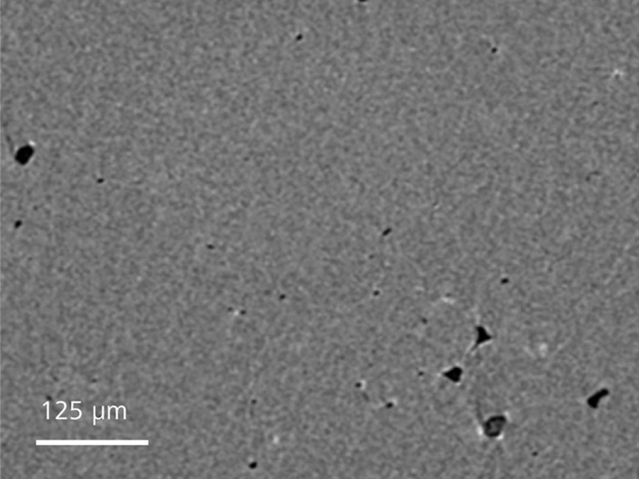 Image d'une poire acquise en contraste d'absorption – aucune visibilité des parois cellulaires. 