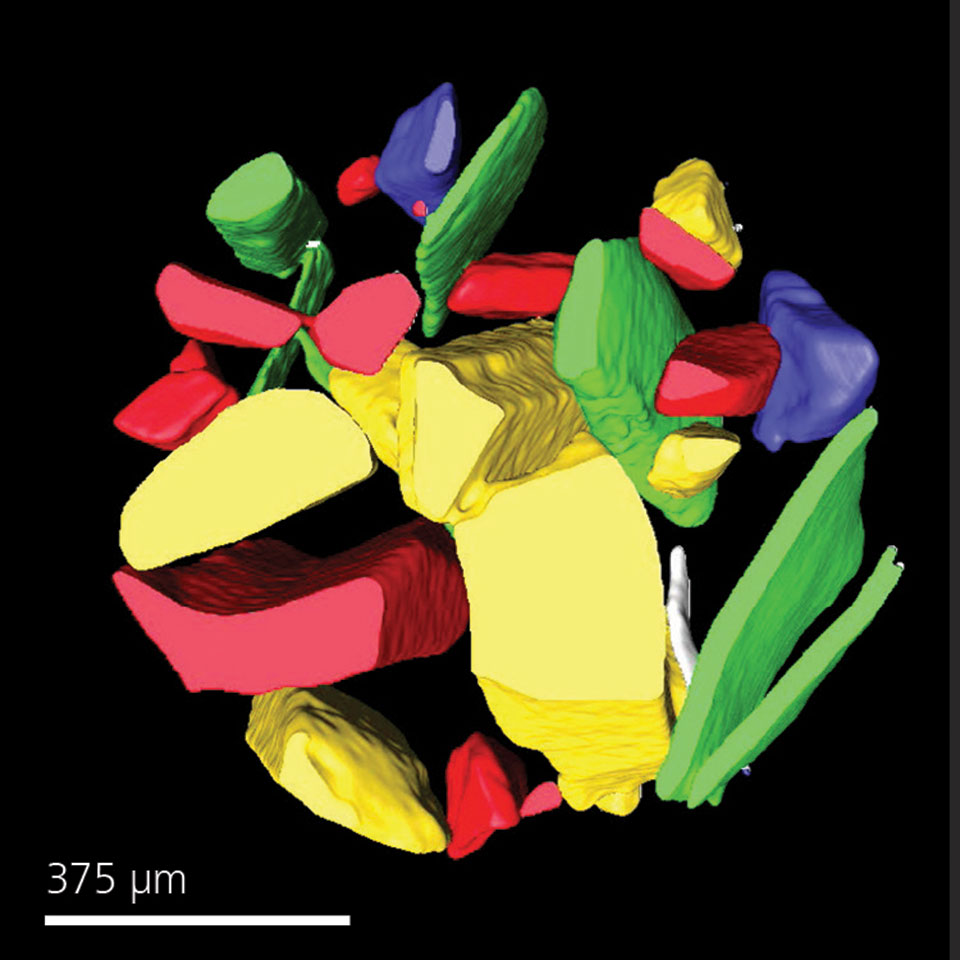 DSCoVer está disponible en exclusiva en ZEISS Xradia 620 Versa y permite la separación de las partículas. El renderizado en 3D muestra aluminio/verde; silicatos/rojo