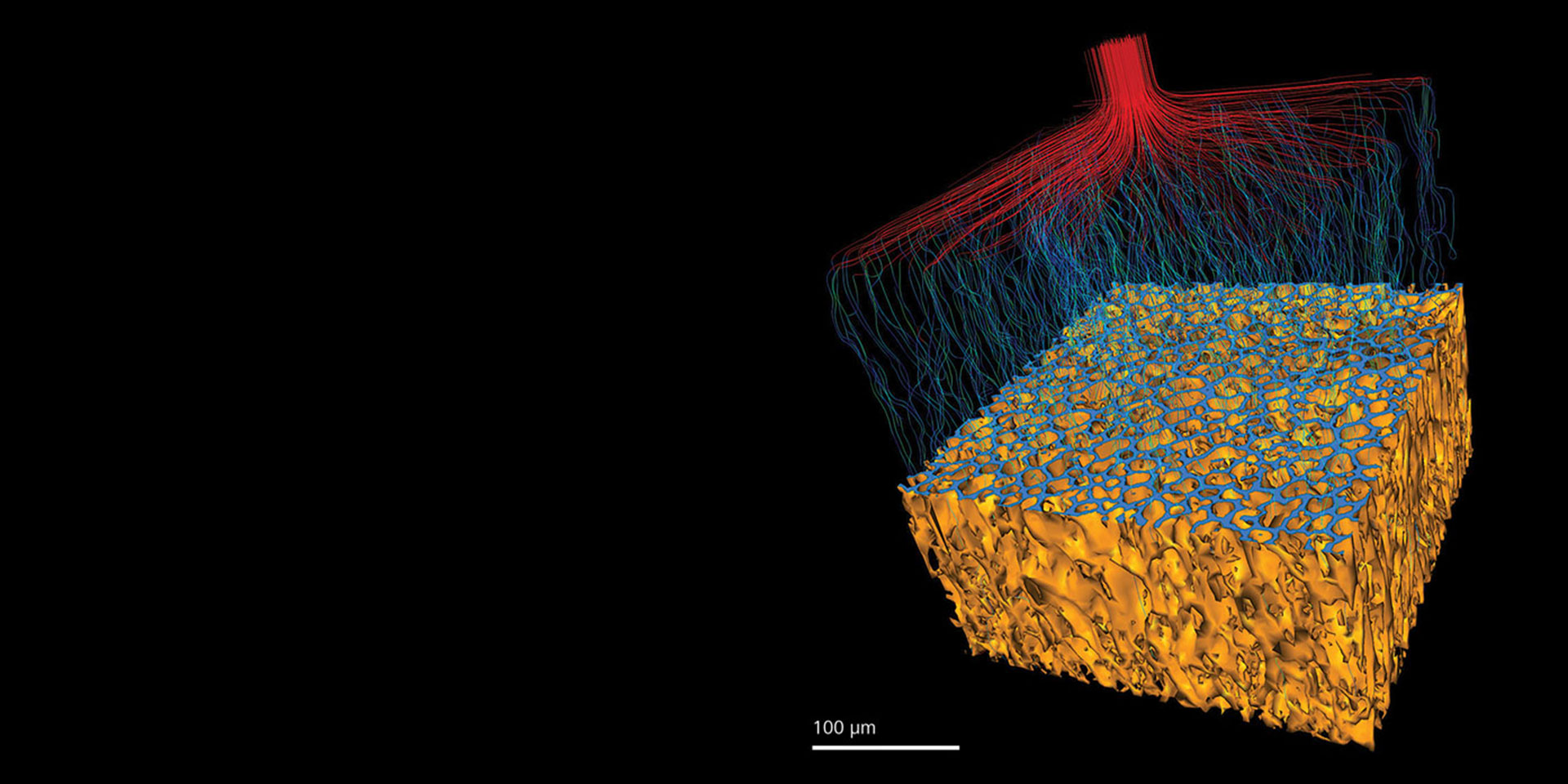 ウレタン骨核を有するポリマー。In situ実験後にイメージング。流体の流れをシミュレーションして透過性を示した例。