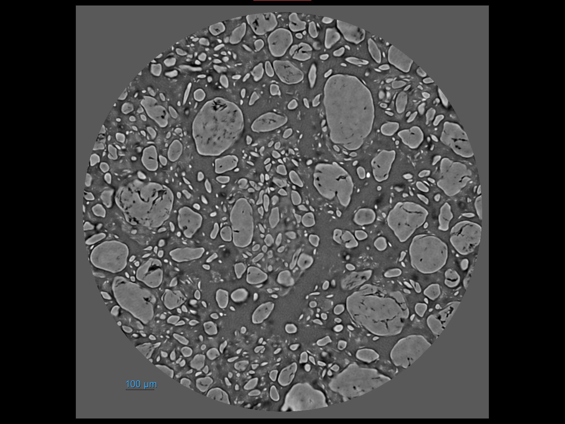 DeepRecon Pro. Application of ZEISS PhaseEvolve to a pharmaceutical powder sample.