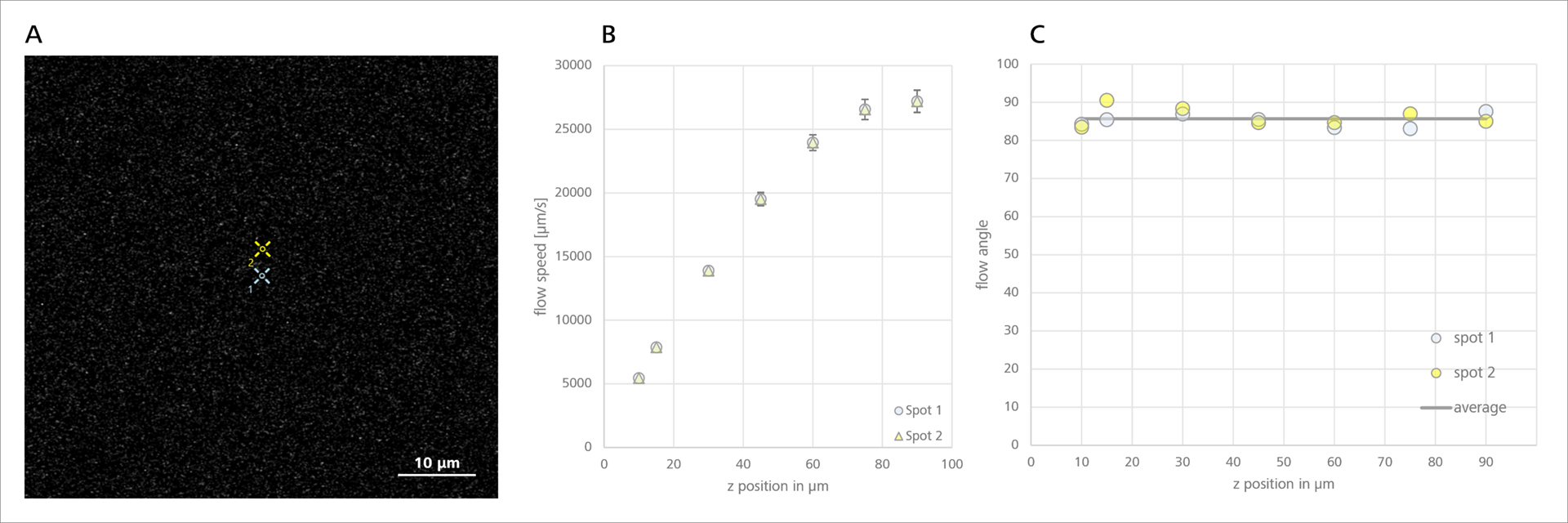 Figure 7: Characterization of the flow profile in z