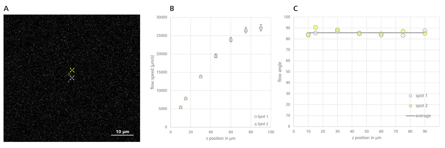 Figure 7: Characterization of the flow profile in z