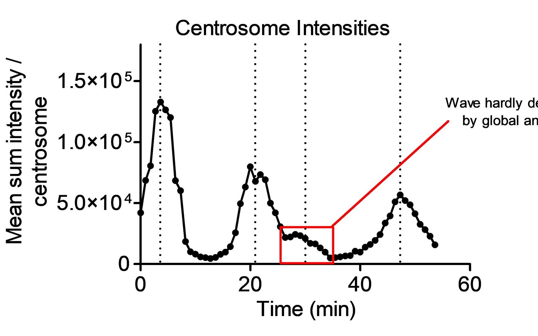 Global centrosome intensity dynamics