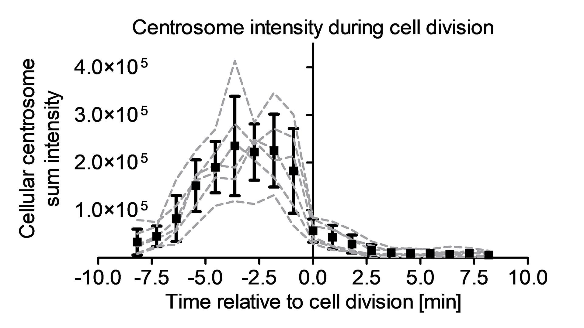 Mitochondria color-coded according to this ratio to visualize their distribution in relation to the overall outline of the cell.