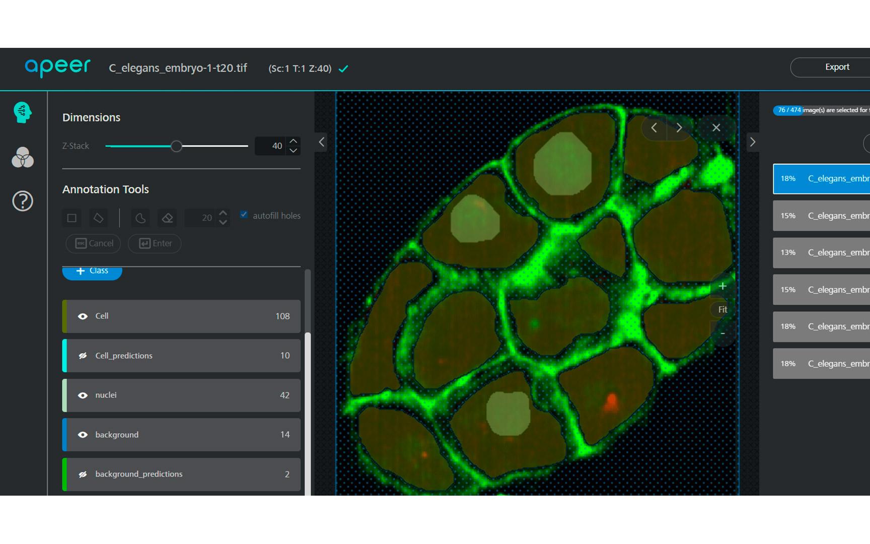 C. elegans embryo data in the APEER DL Annotation Tool