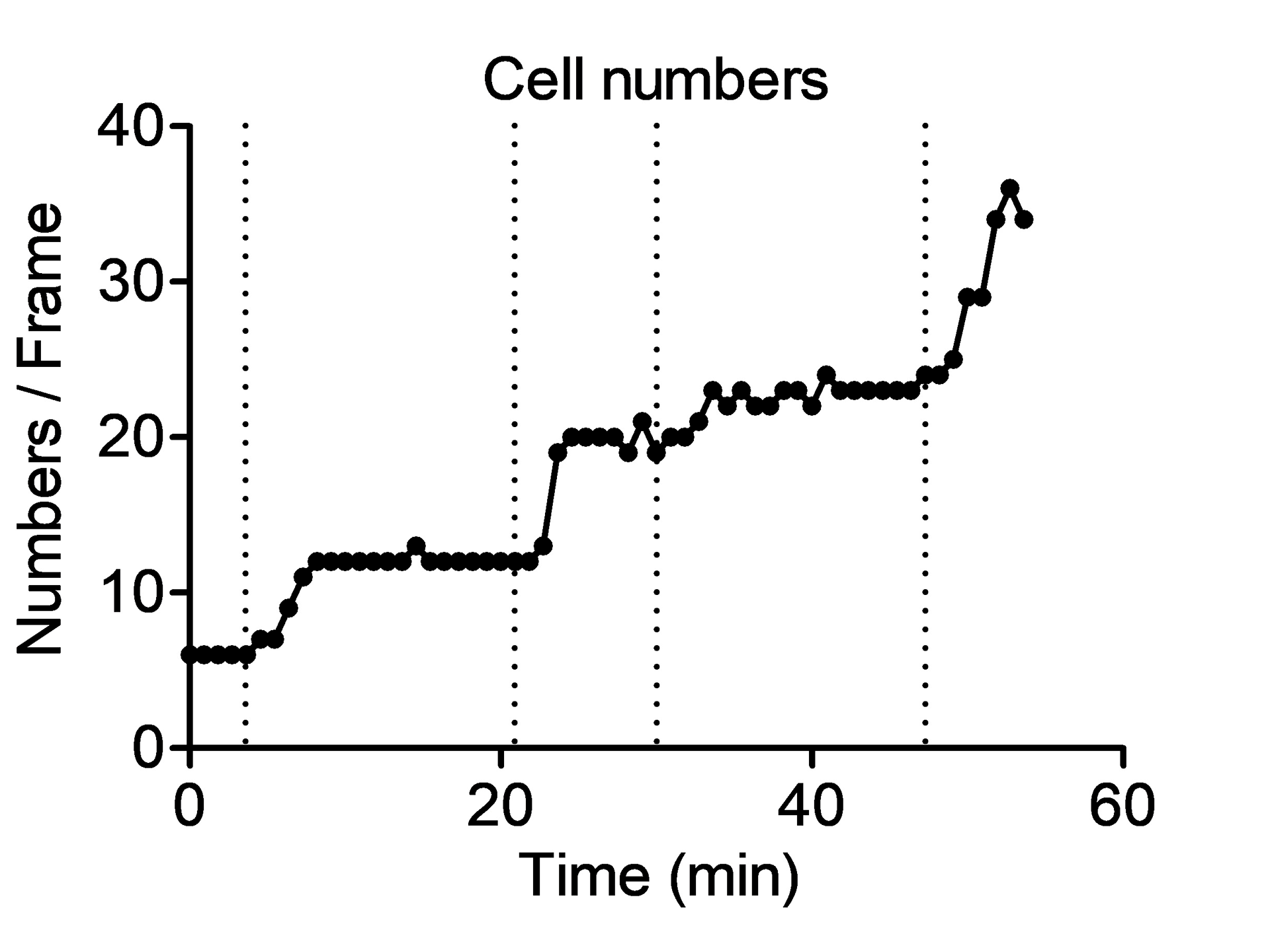 Quantification of cell growth over time by cell numbers. Time points of collective divisions are indicated as dashed vertical lines.