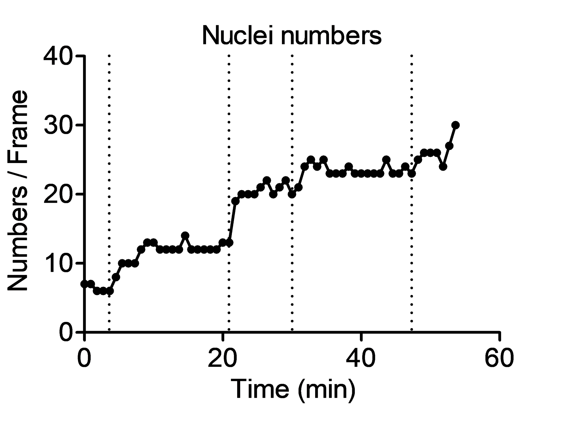 Quantification of nuclei numbers. Time points of collective divisions are indicated as dashed vertical lines