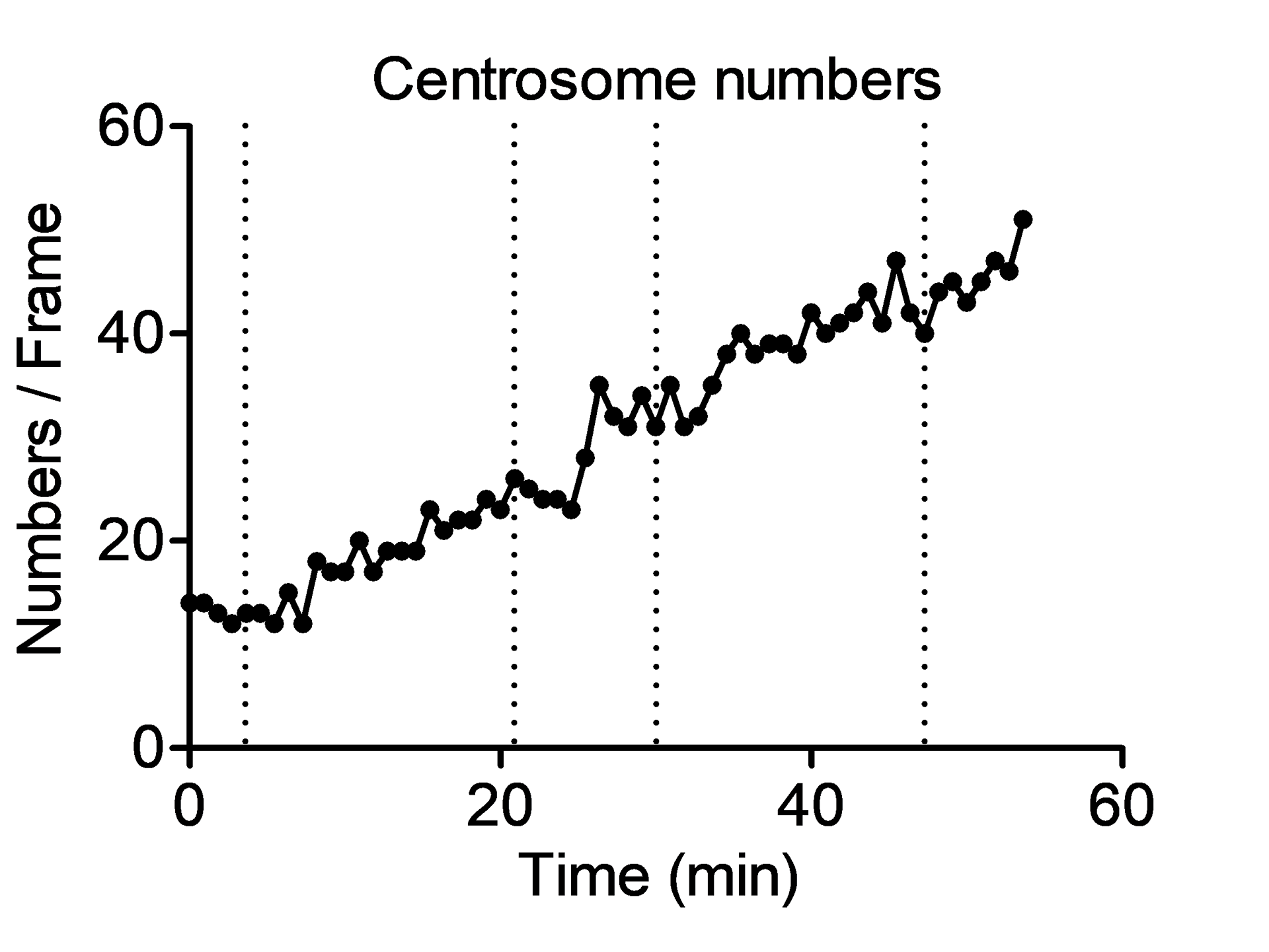 Quantification of centrosome numbers. Time points of collective divisions are indicated as dashed vertical lines