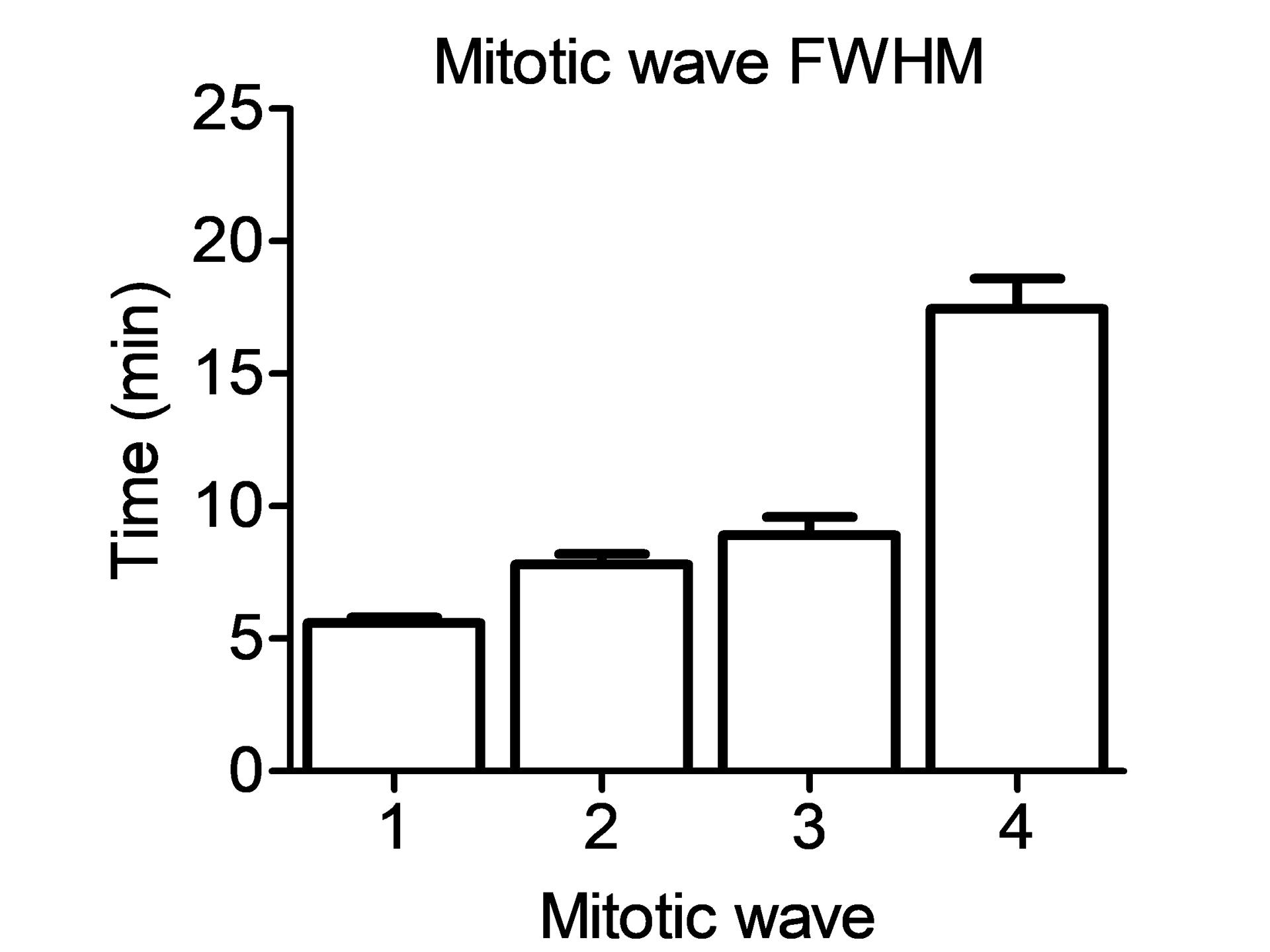 Figure 3C: Full Width at Half Maximum (FWHM) measurement for mitotic waves.