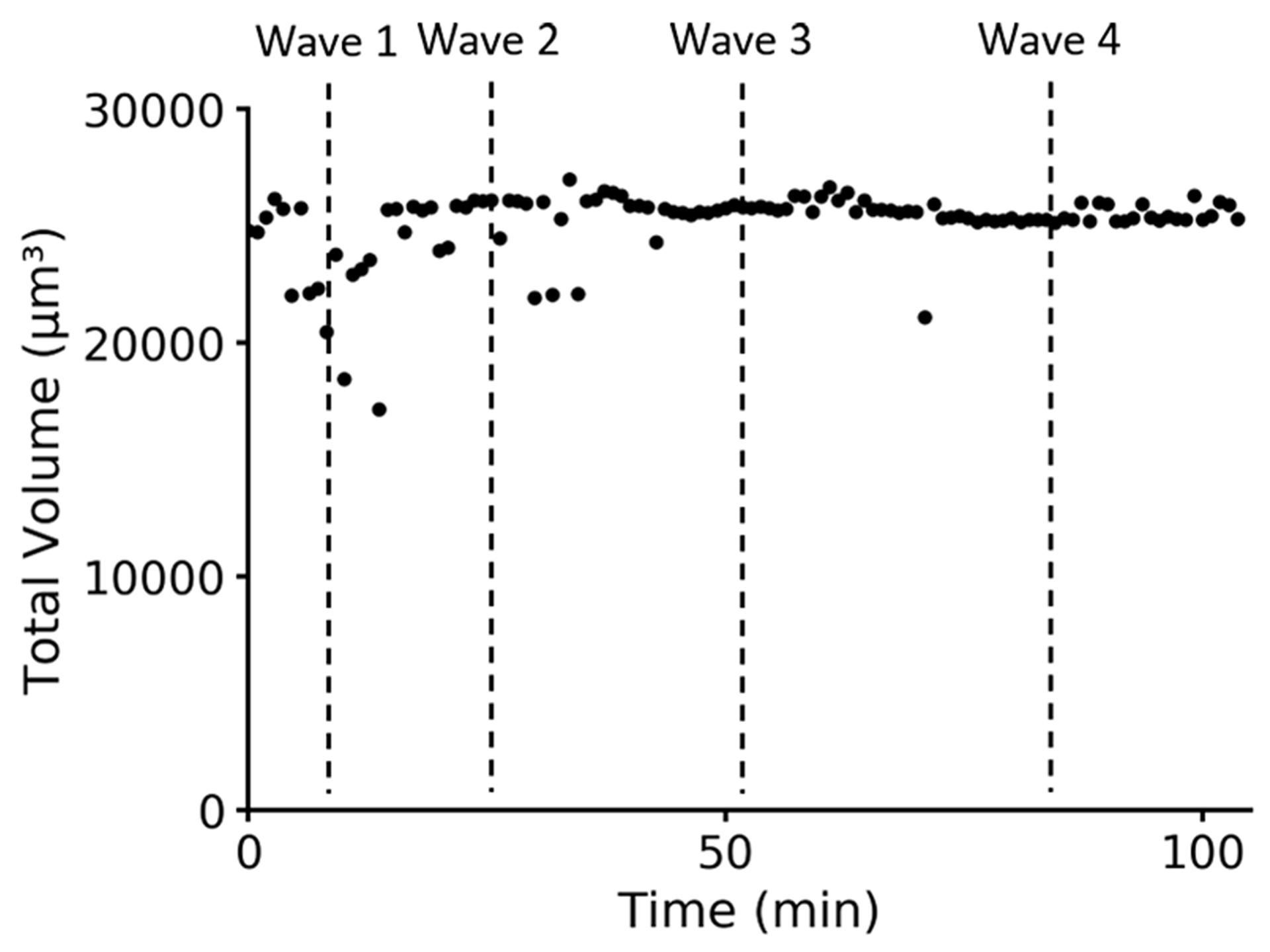 Figure 5A: Total embryo volume. Cell compartment volumes summed for each time point. Vertical lines indicate peak mitotic waves.