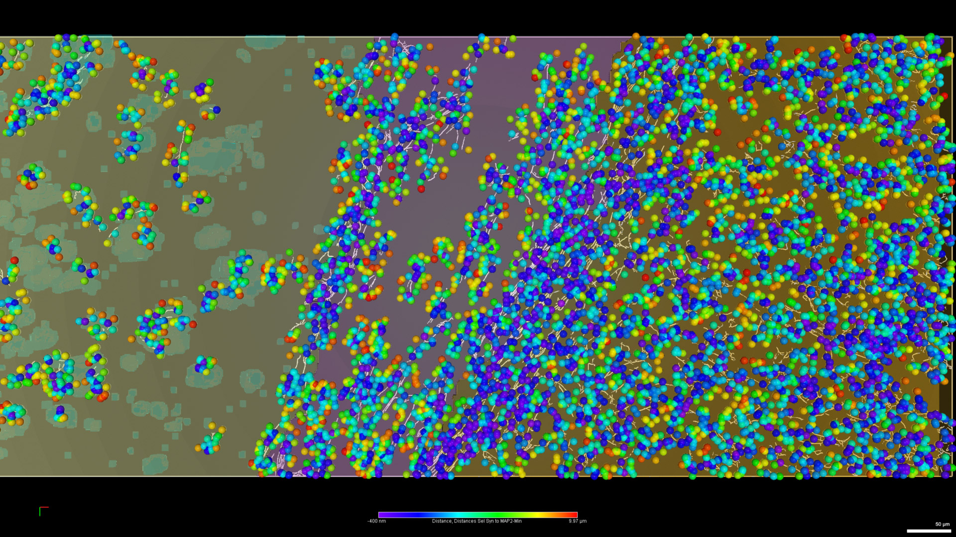 Figure 20: Synapsis proximity to MAP2. Visual representation of the subsetted synapses, color-coded by their distance to the nearest MAP2 filament. Objects with a distance over 200 μm were removed