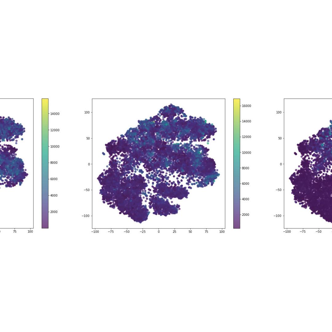 Figure 22: Expression of Syntaxin, Synaptobrevin and Synaptophysin in the reduced dimensionality space