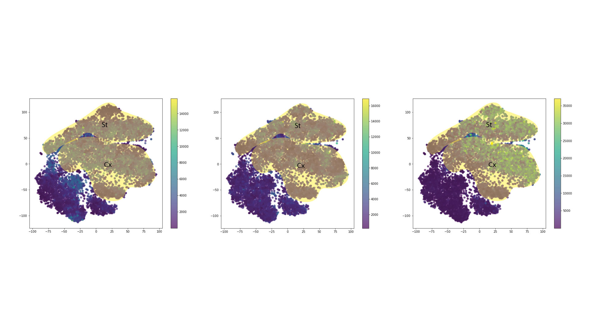 Figure 22: Expression of Syntaxin, Synaptobrevin and Synaptophysin in the reduced dimensionality space