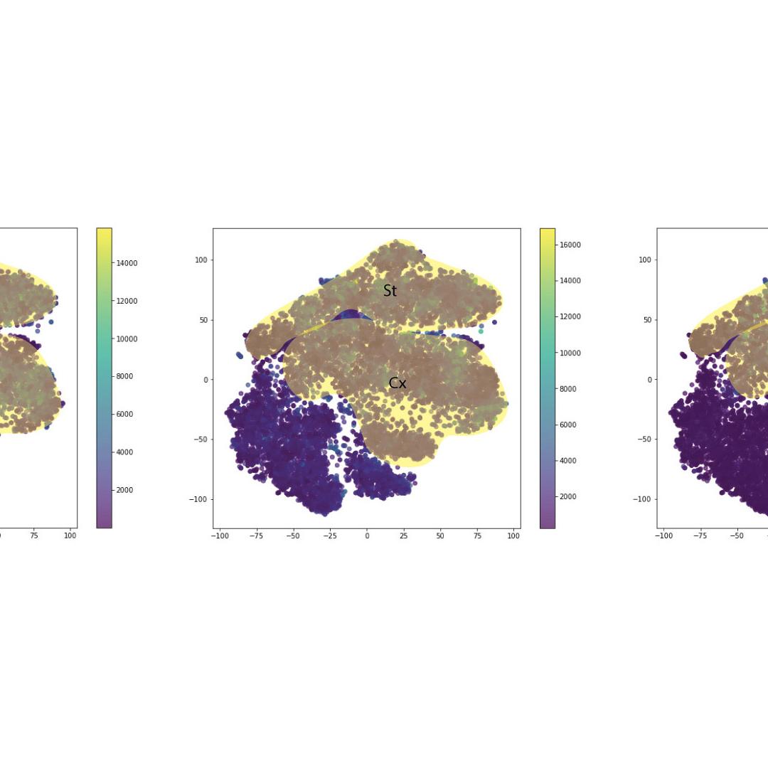 Figure 22: Expression of Syntaxin, Synaptobrevin and Synaptophysin in the reduced dimensionality space