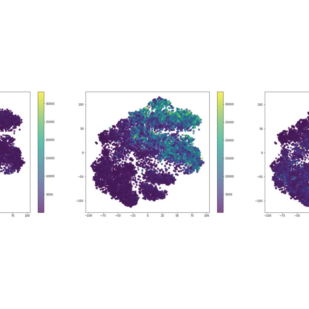 Figure 23: Expression of Piccolo, Bassoon and MAP2 in the reduced dimensionality space