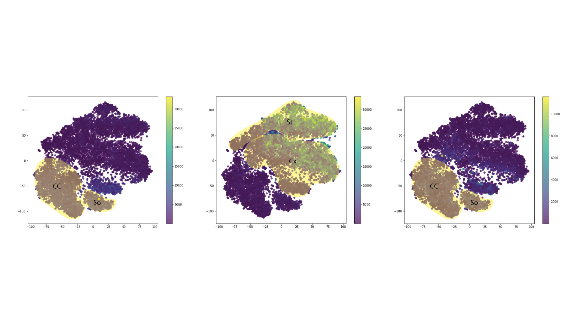 Figure 23: Expression of Piccolo, Bassoon and MAP2 in the reduced dimensionality space