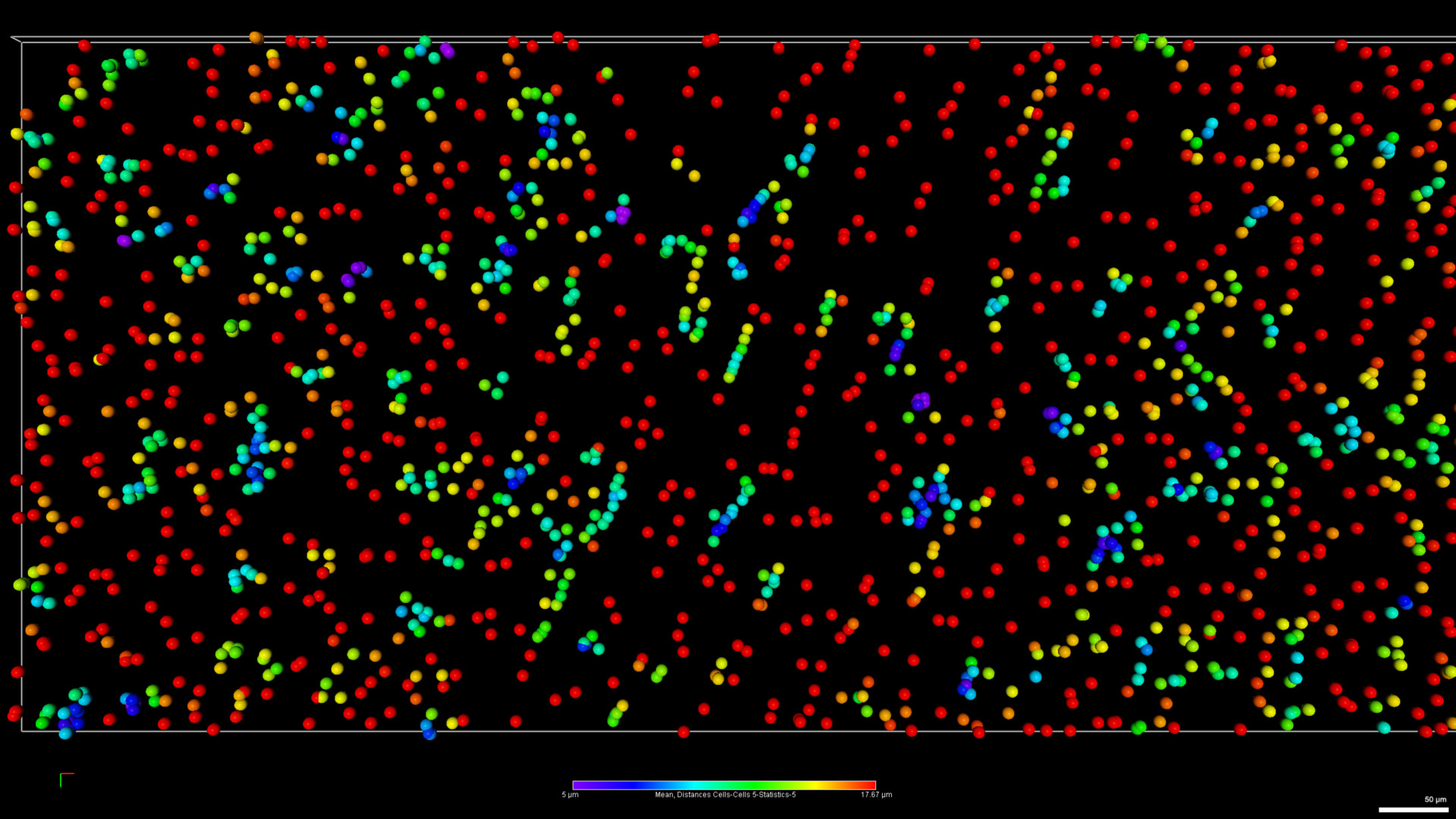 Figure 24: Cell density. Digital reconstruction of the cell bodies represented as objects, color-coded by their distance to their 5 closest neighbors