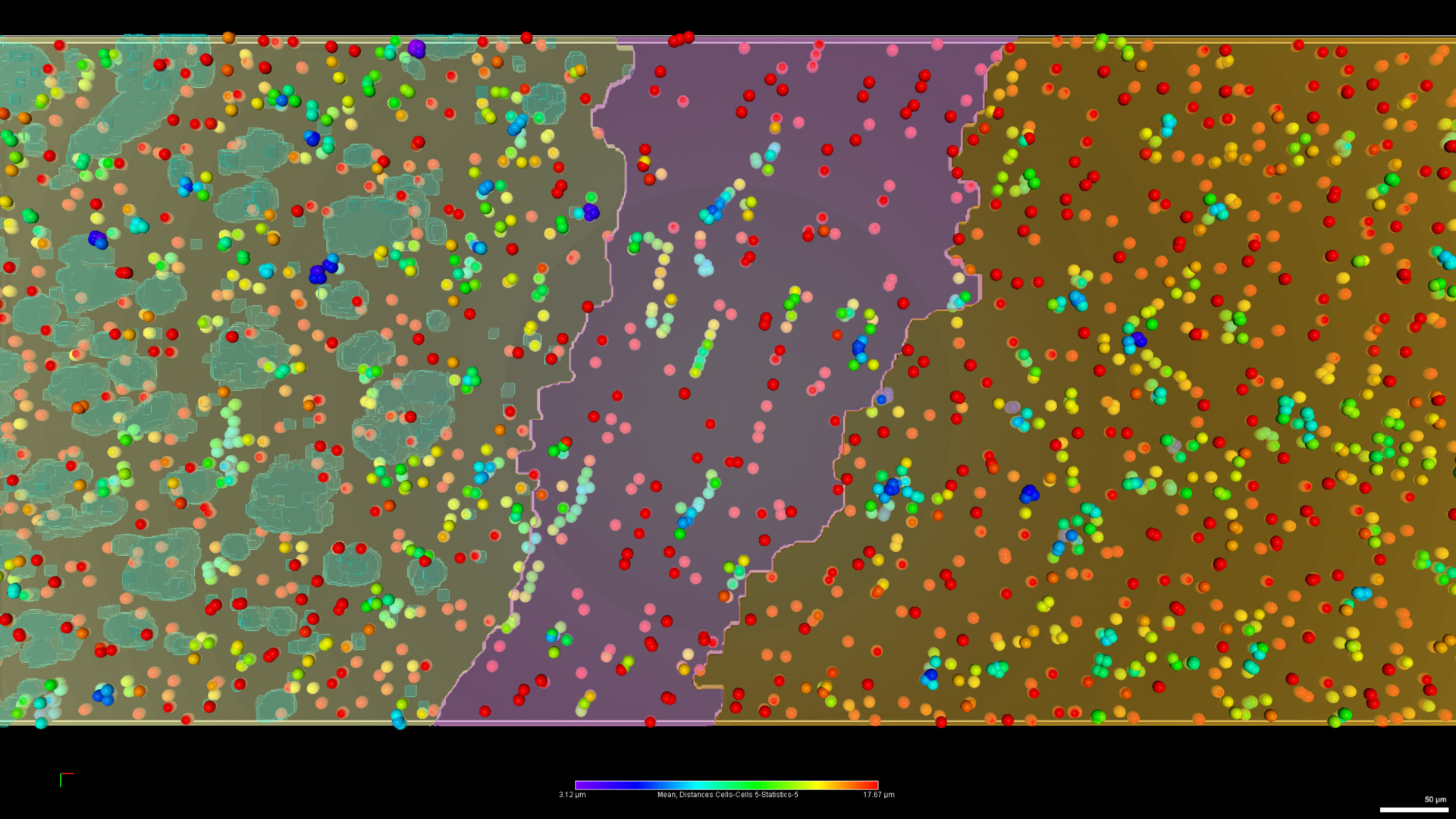 Figure 25: Cell density overlaid with brain regions. Digital reconstruction of the cell bodies represented as objects, color-coded by their distance to their five closest neighbors