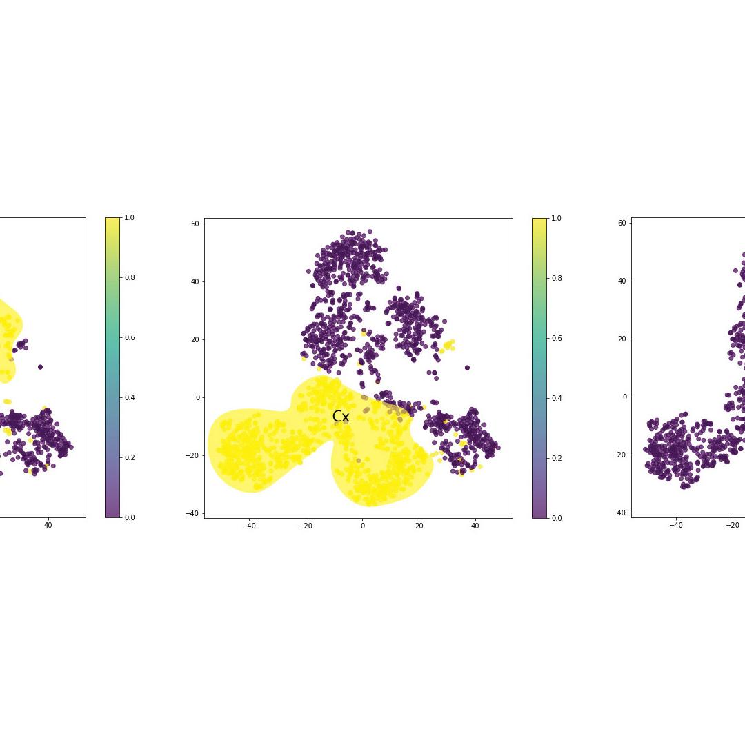 Figure 28: Brain region clustering in the reduced dimensionality space. Each spot represents an individual cell