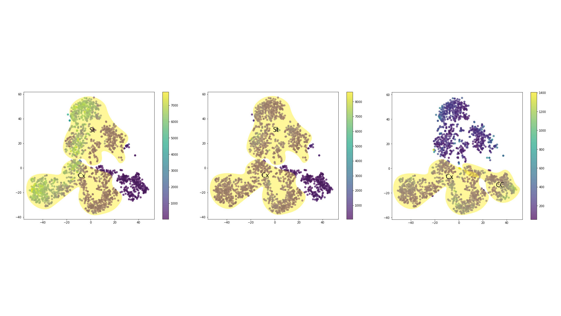 Figure 29: Expression of NeuN, Bassoon and CXCL12 in the reduced dimensionality space