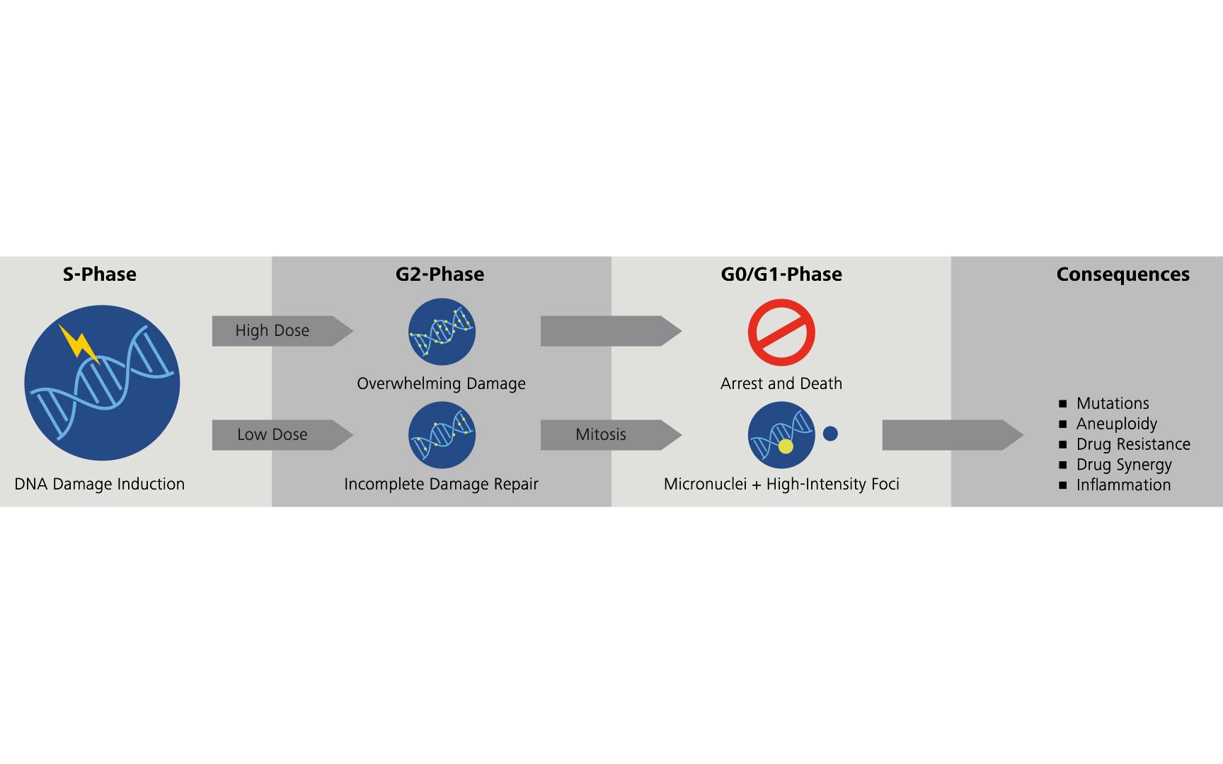 Summary of drug effector mechanisms