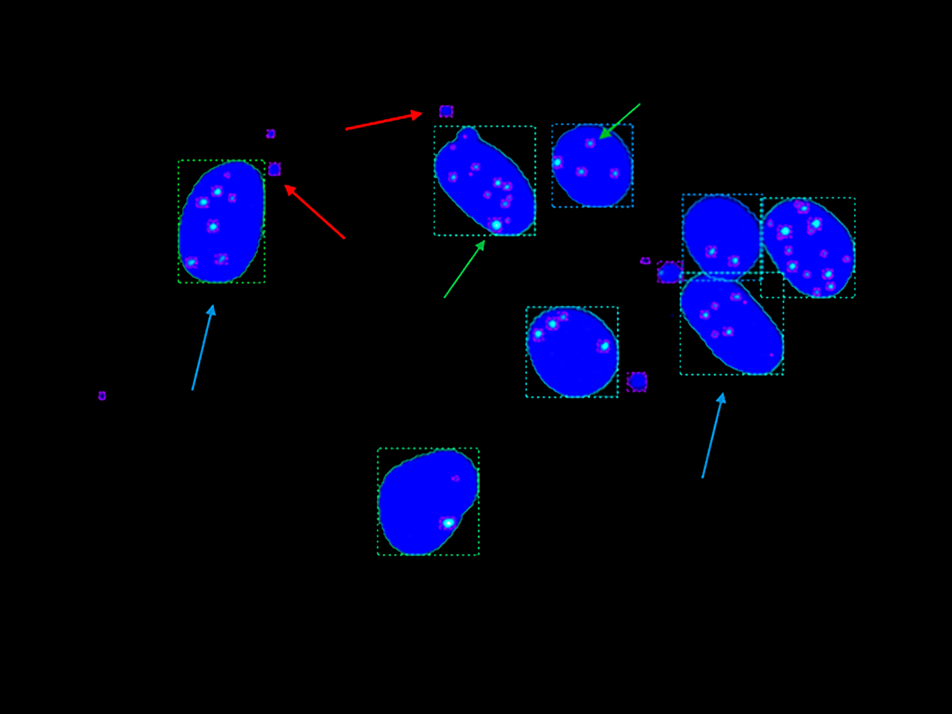 Figure 2A: Representative clip of data set with identified objects as bounding boxes