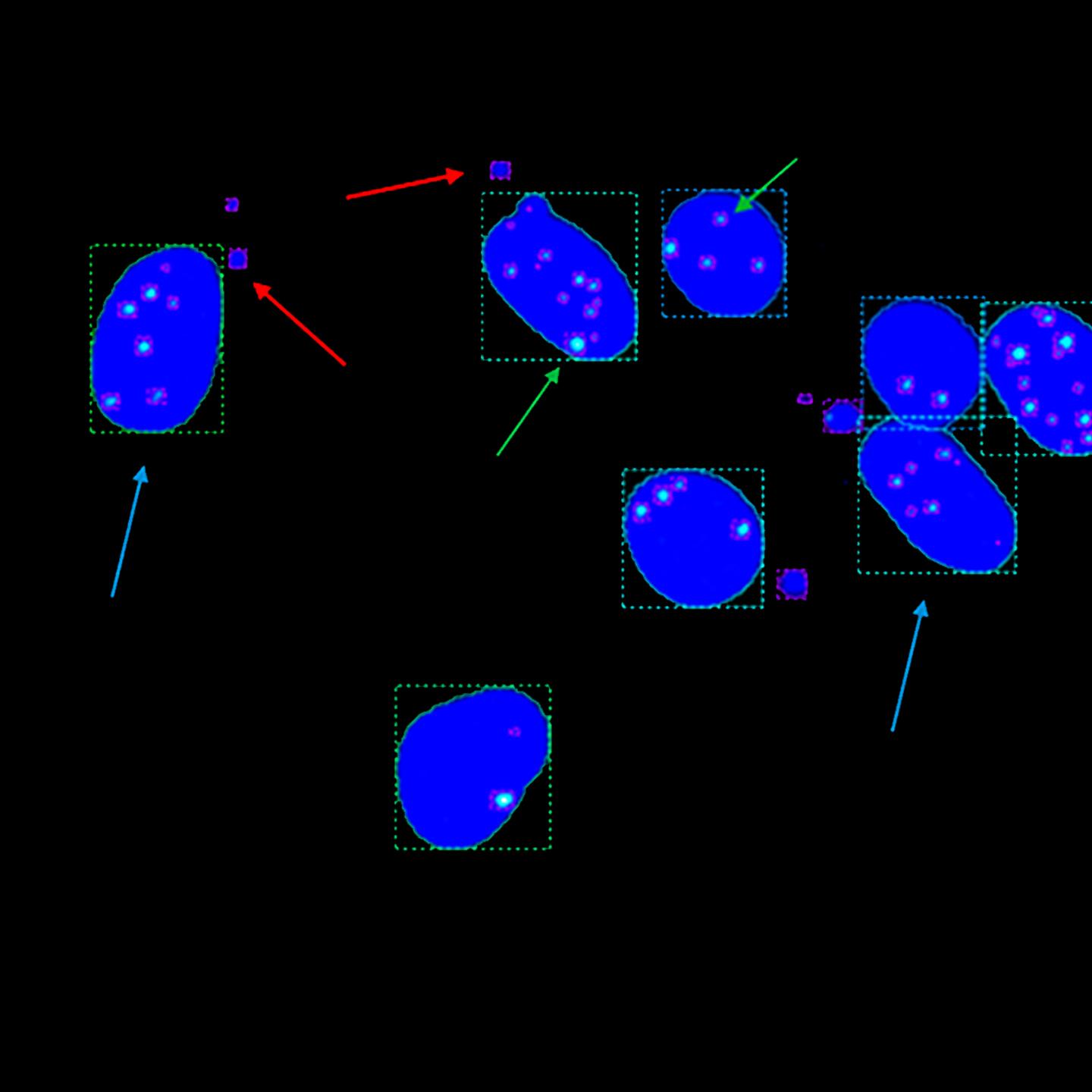 Representative clip of data set with identified objects as bounding boxes