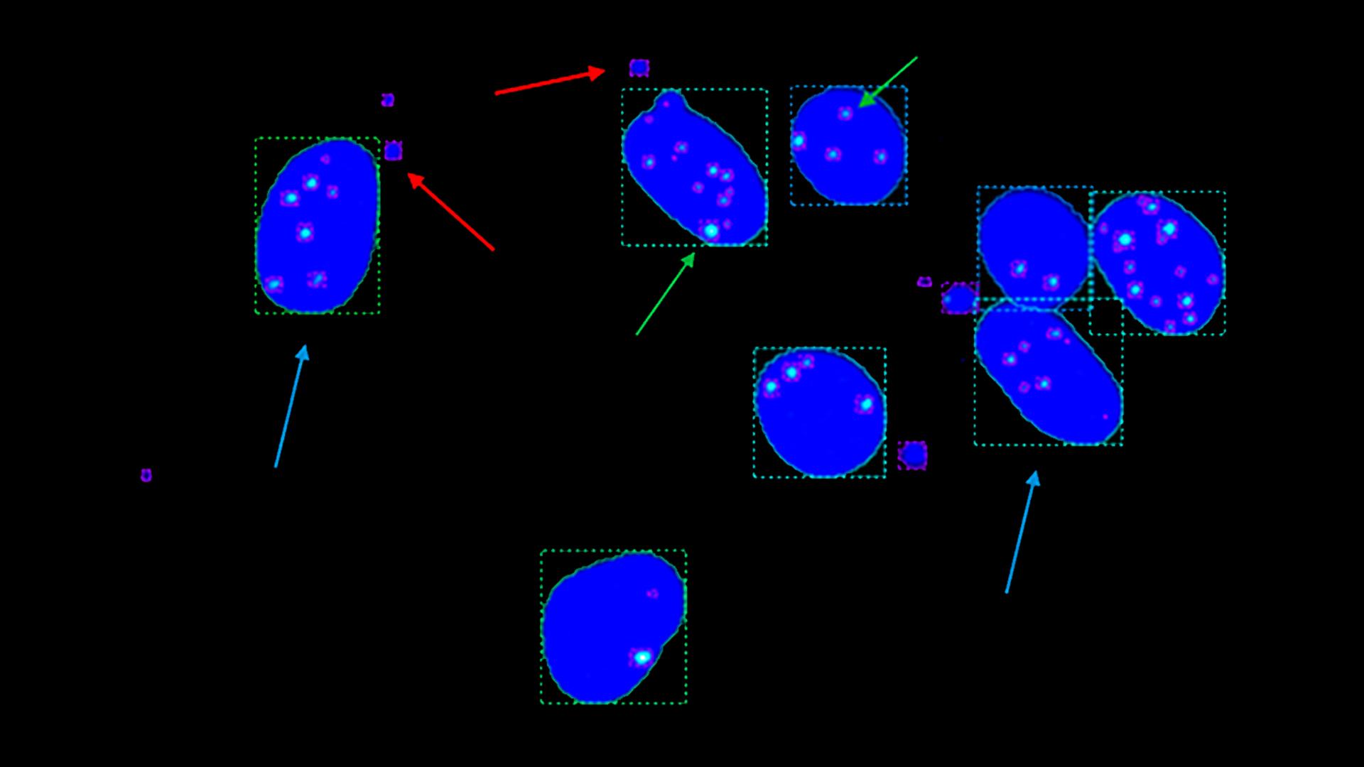 Representative clip of data set with identified objects as bounding boxes