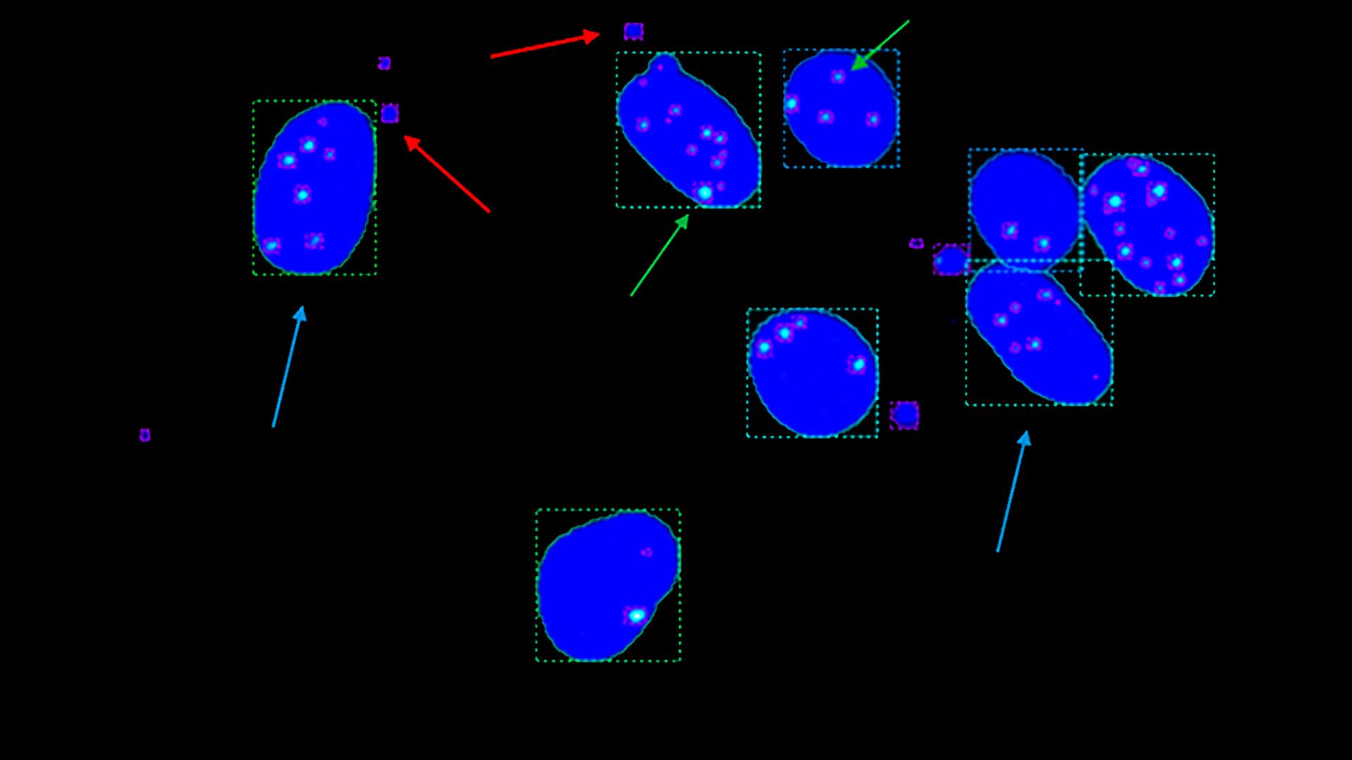 Figure 2A: Representative clip of data set with identified objects as bounding boxes