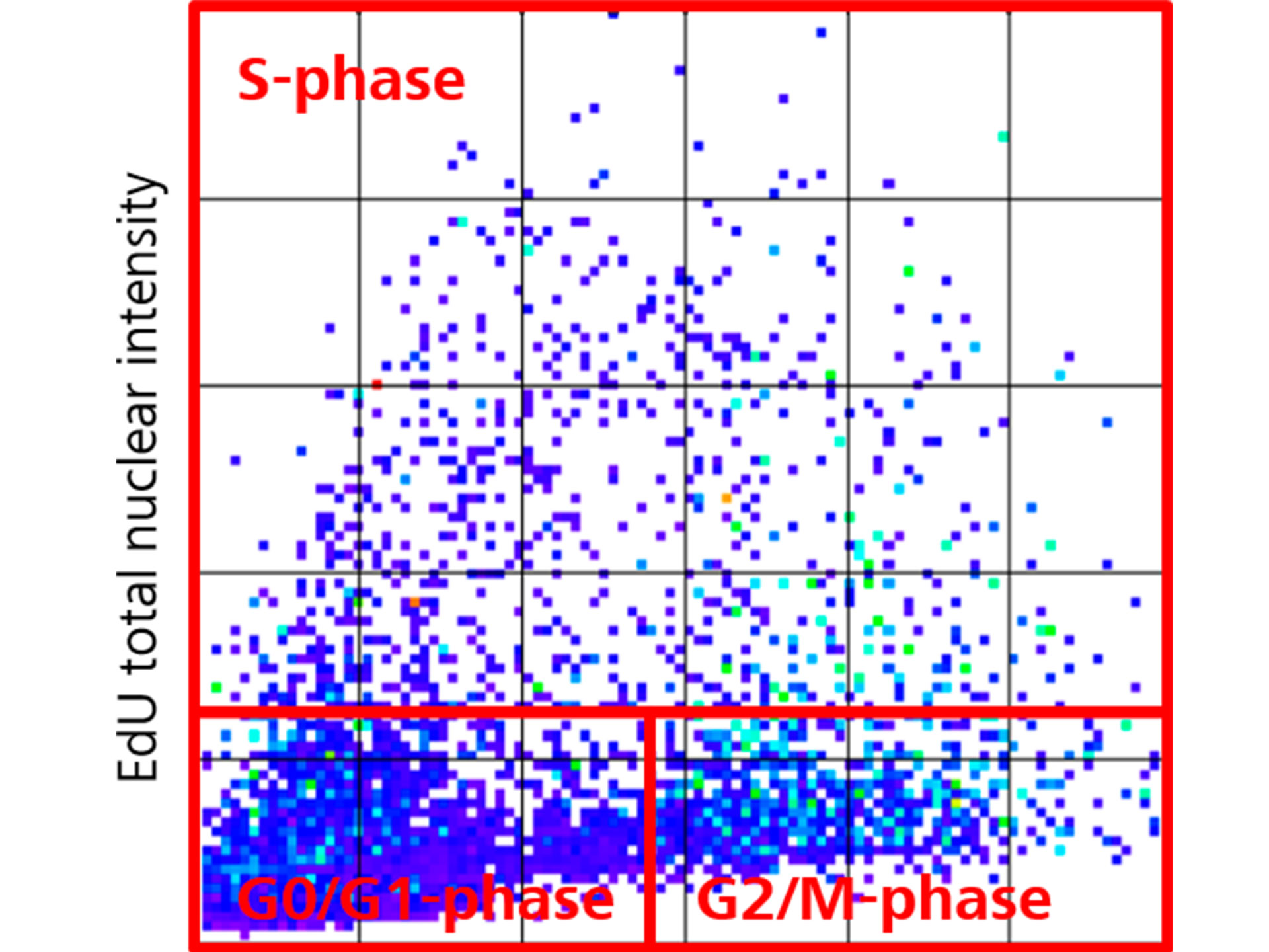 Figure 2B: Scatter plot of single cells based on their total intensities of EdU and DAPI channels