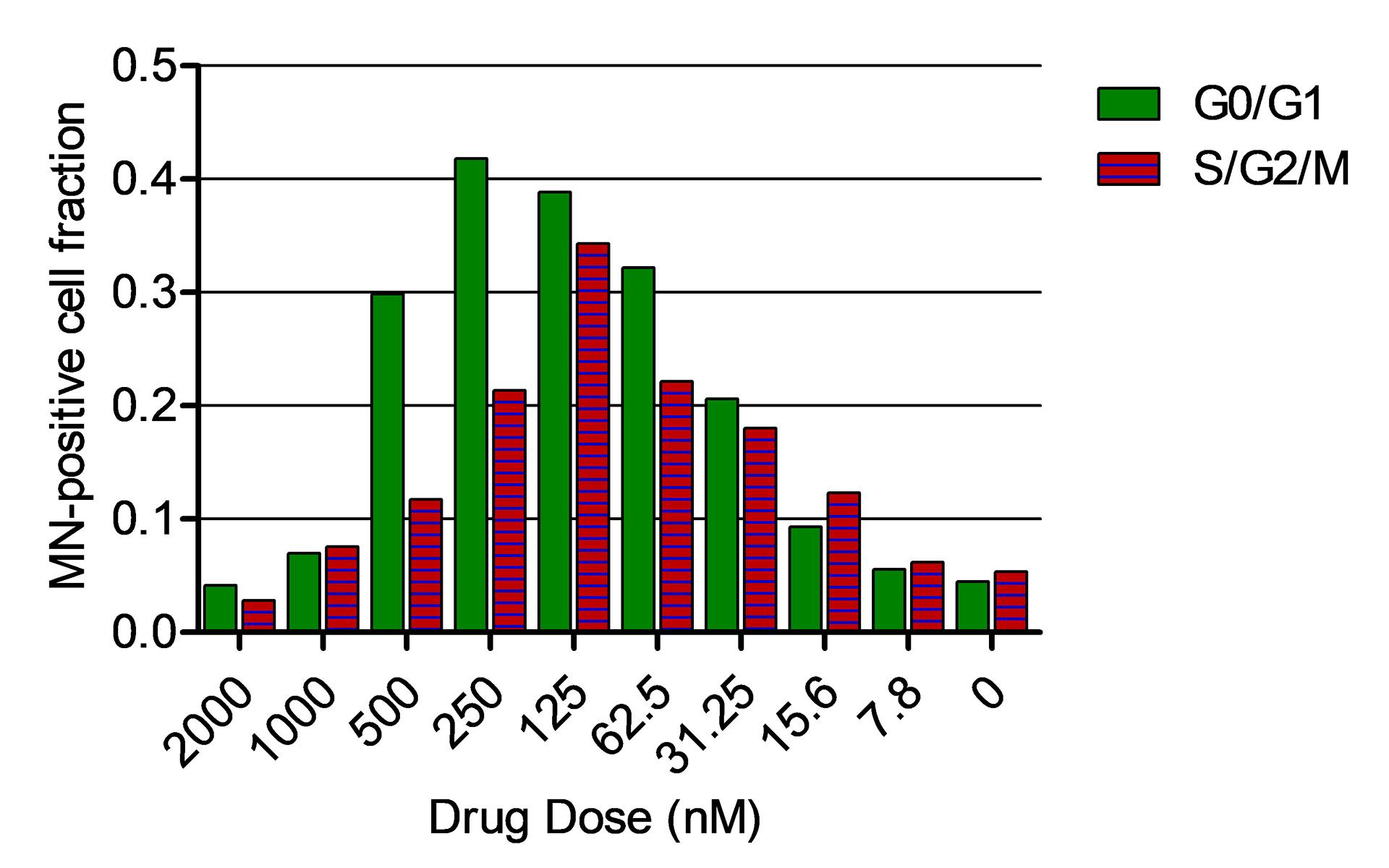 Average single focus intensities in G2/M-phase cells, stratified for drug doses