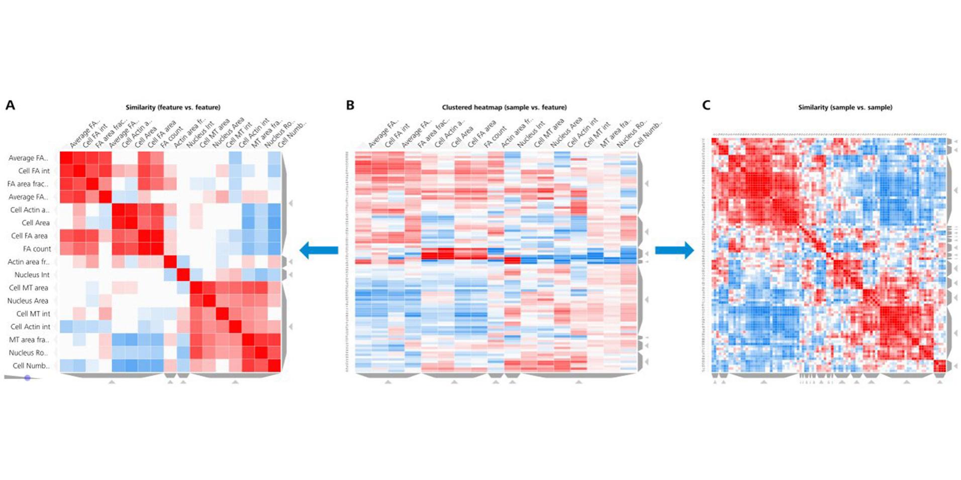 Figure 10: Cluster analysis of data set on the sample level. 