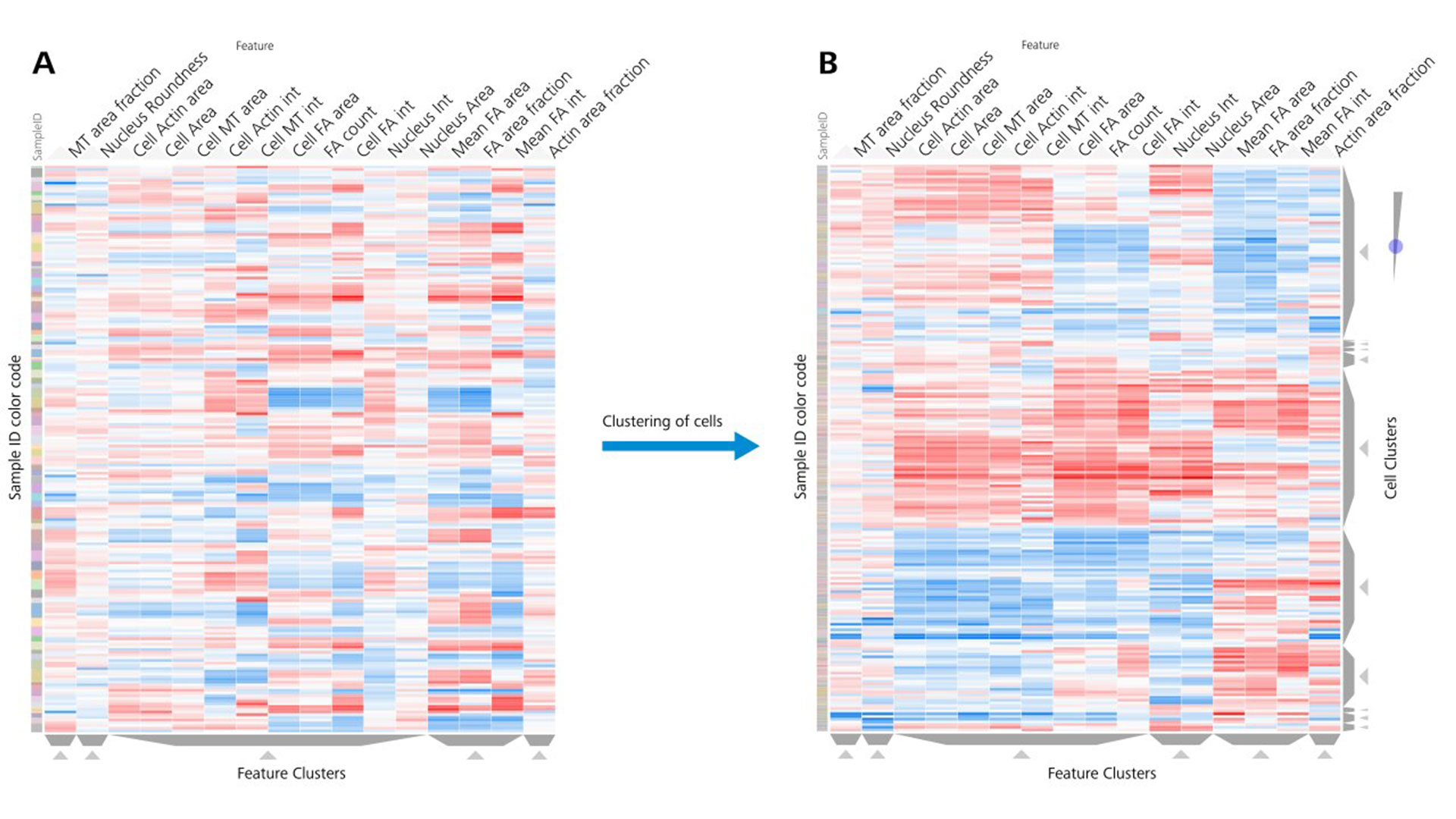 Figure 10: Cluster analysis of data set on the single-cell level. 