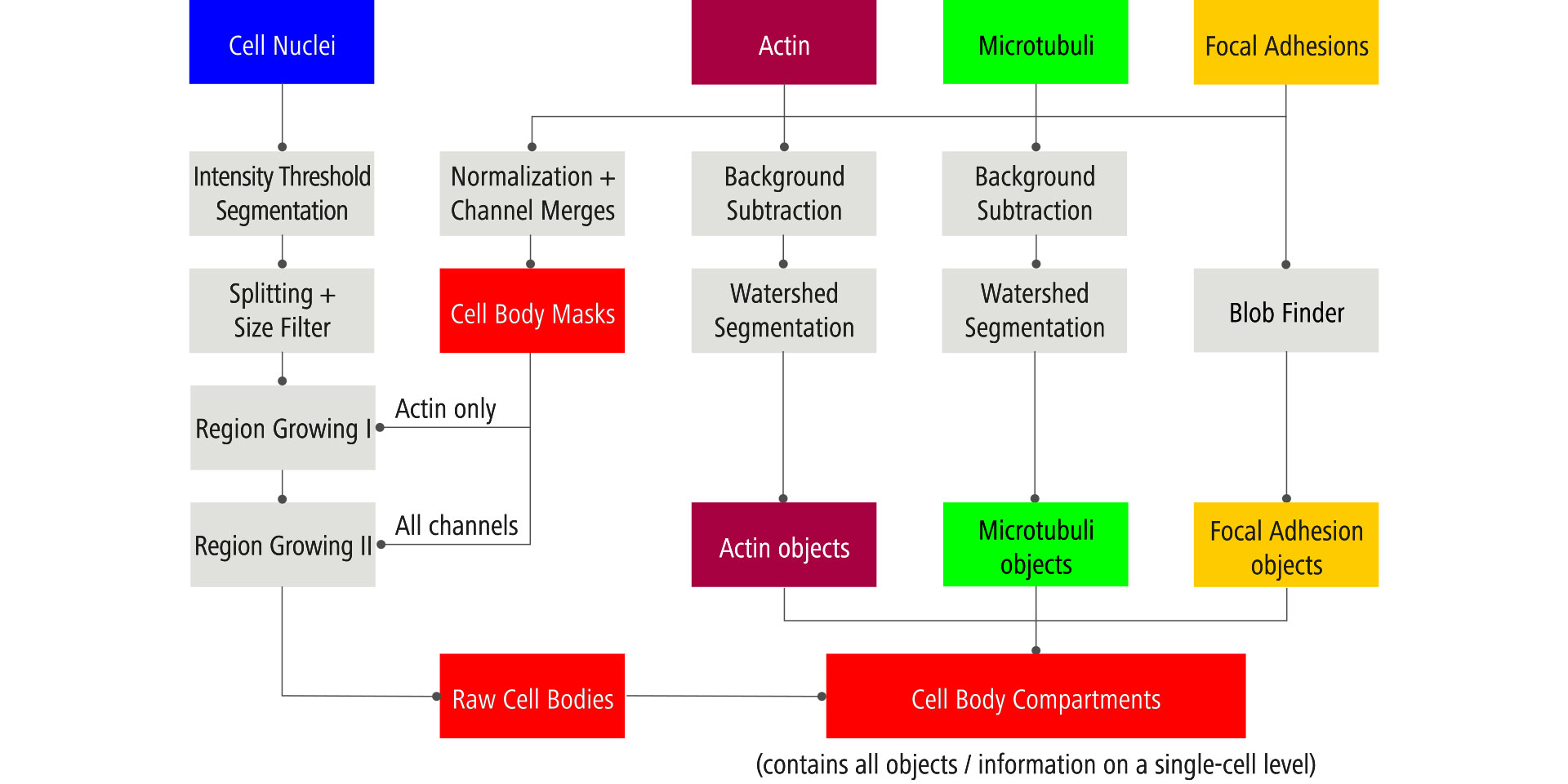 Image Processing scheme for arivis Vision4D.